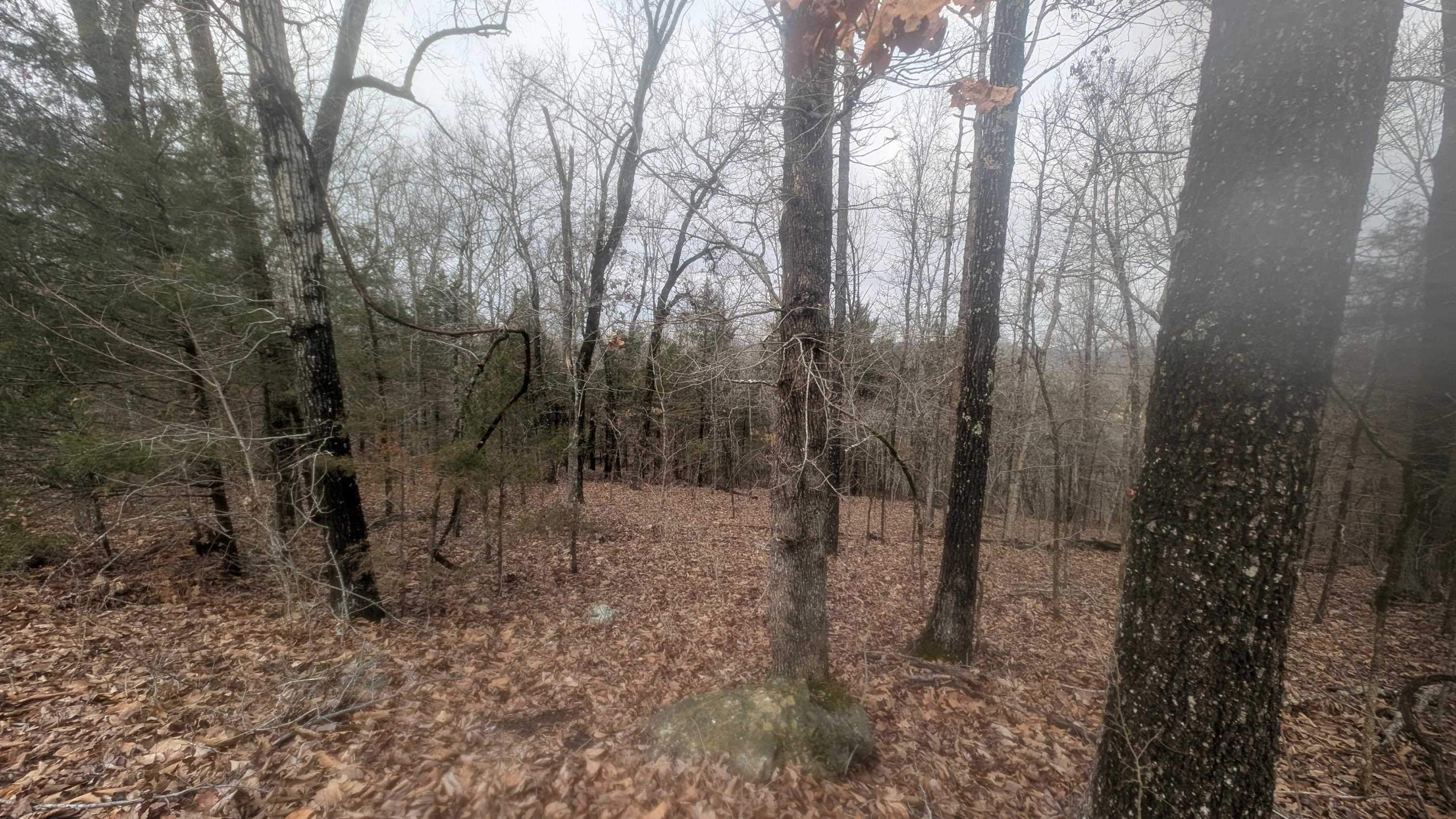  Tonto  Cherokee Village, AR