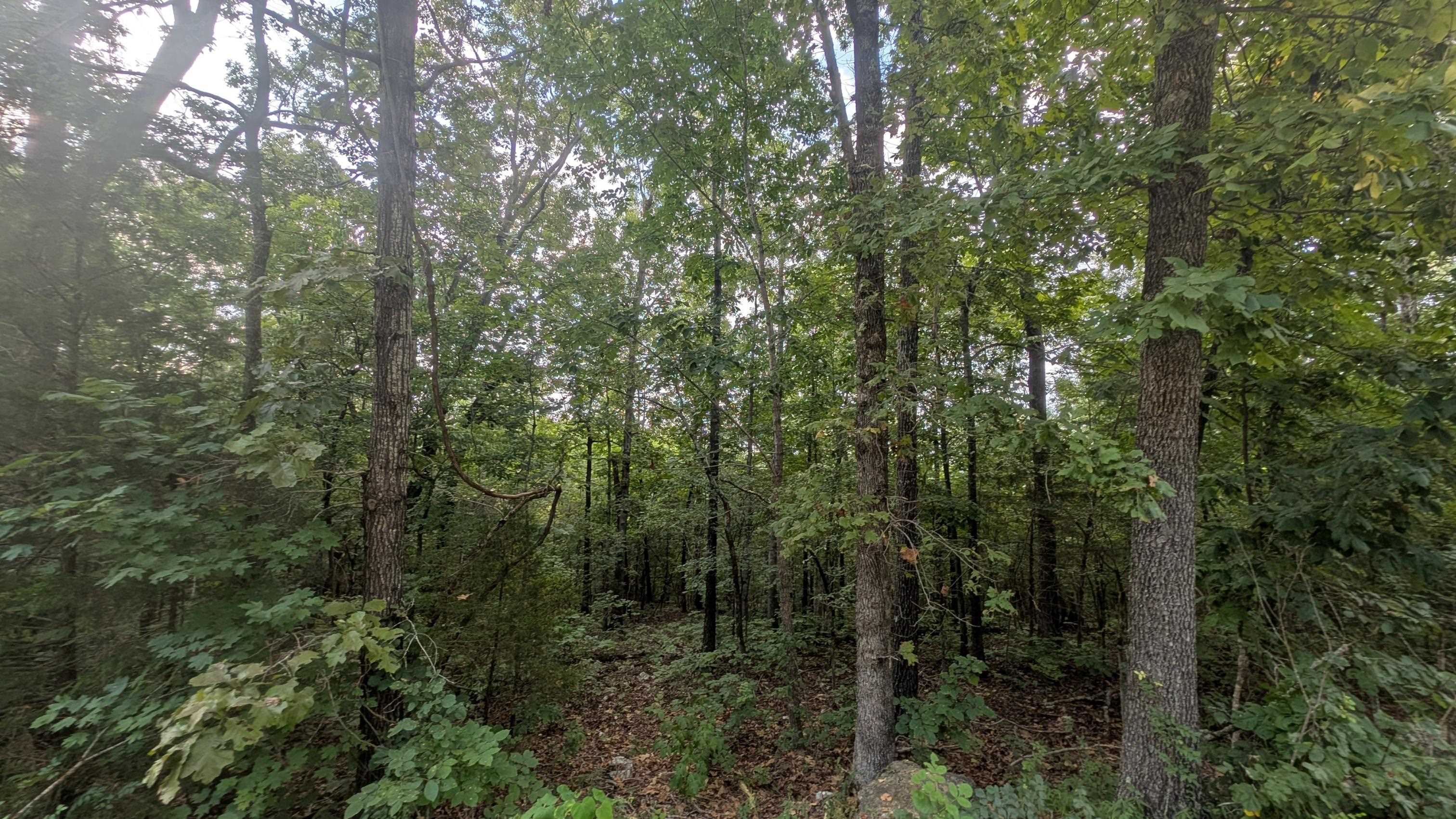  Tonto  Cherokee Village, AR