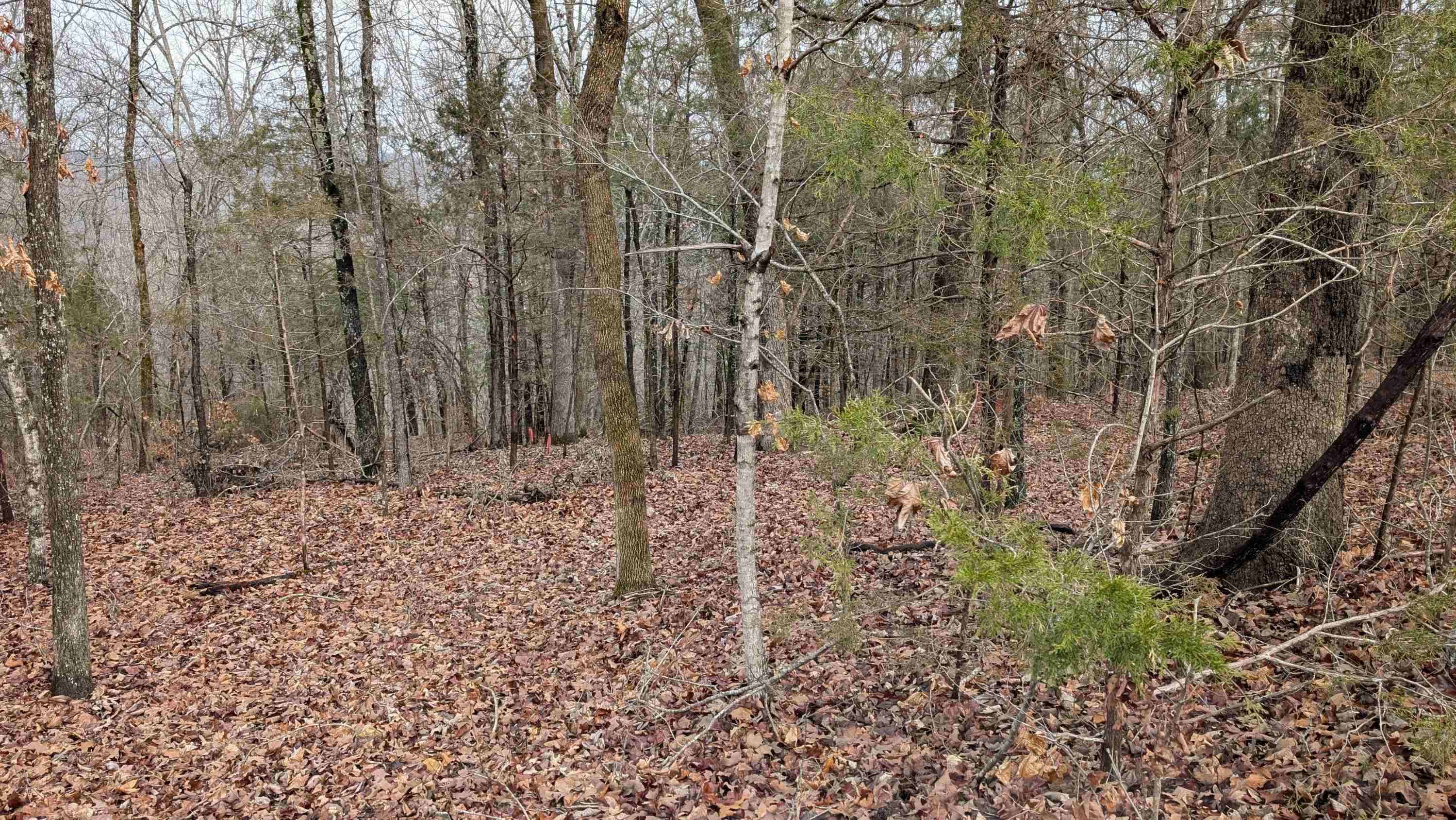  Tonto  Cherokee Village, AR