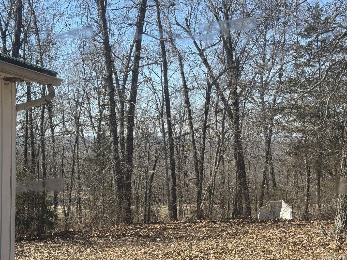 709 Owl  Horseshoe Bend, AR