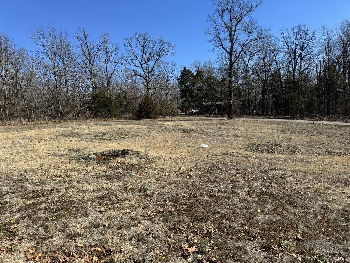 709 Owl  Horseshoe Bend, AR