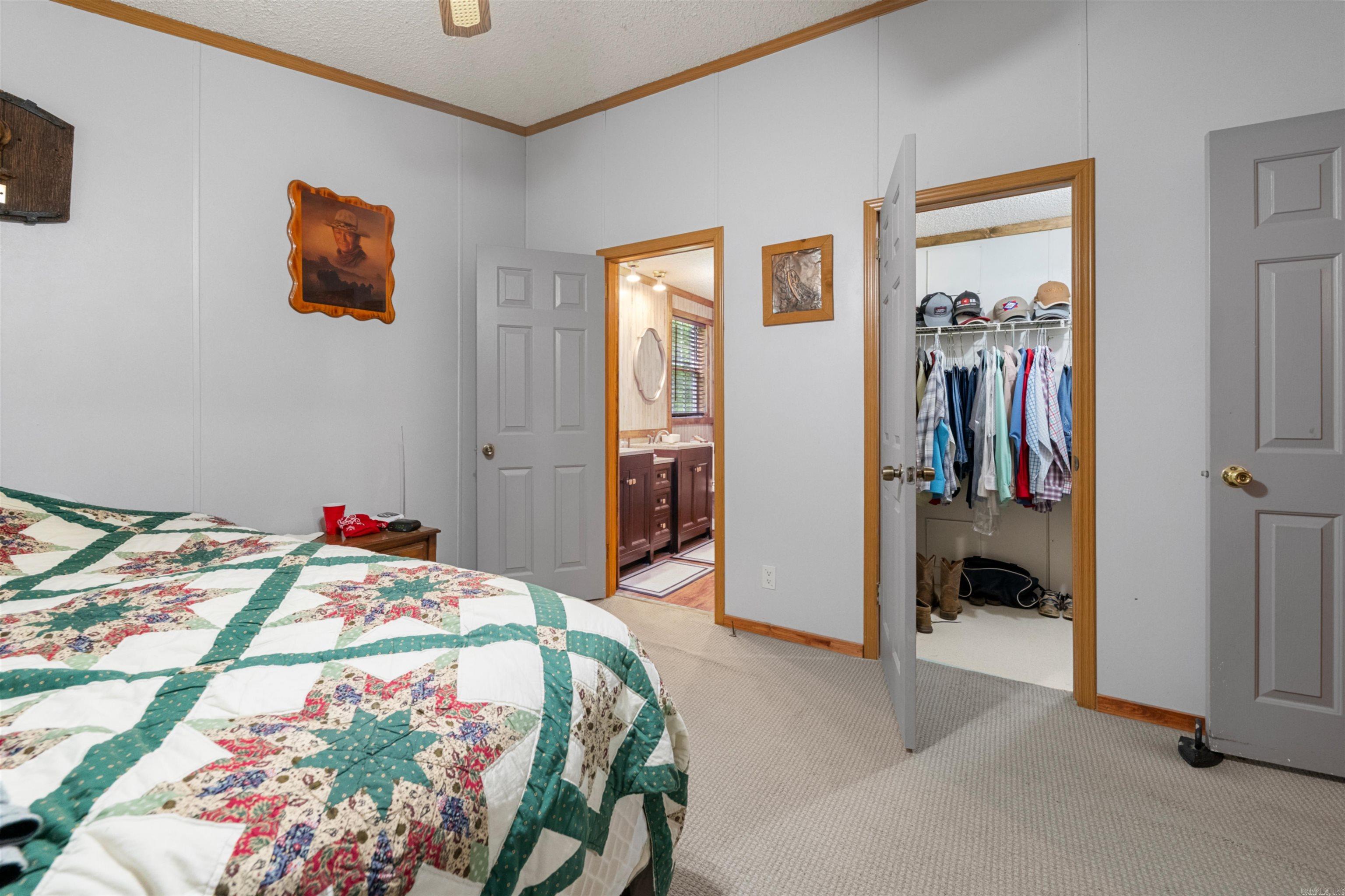 226 Shafer Trail  Austin, AR