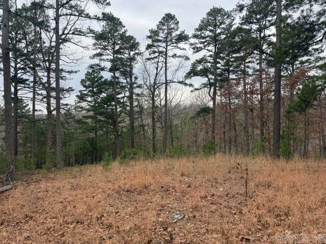 486 MC 2084  Peel, AR