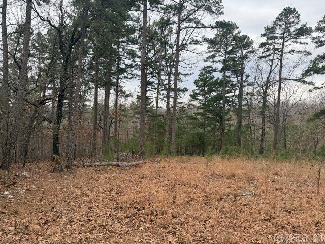 486 MC 2084  Peel, AR