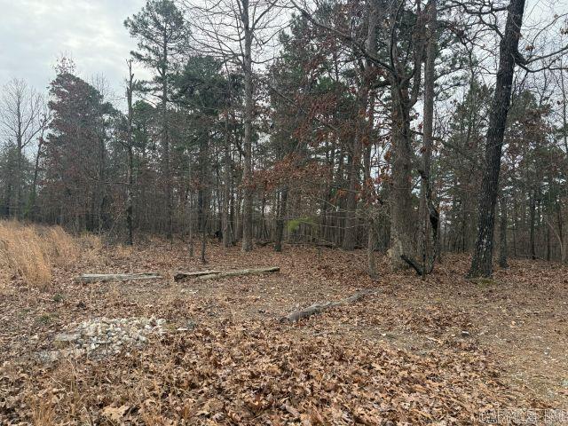 486 MC 2084  Peel, AR