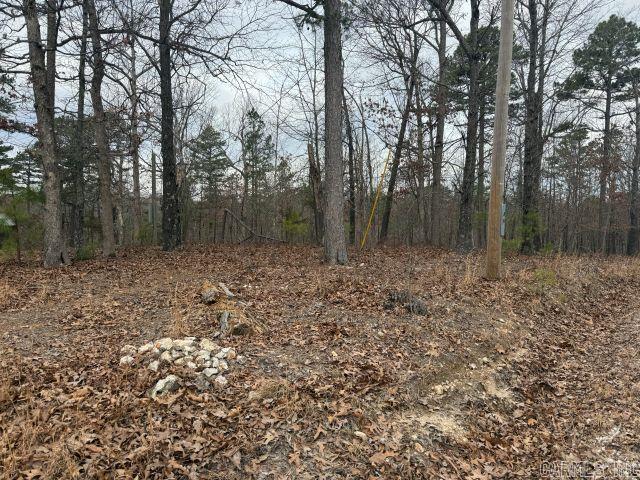 486 MC 2084  Peel, AR