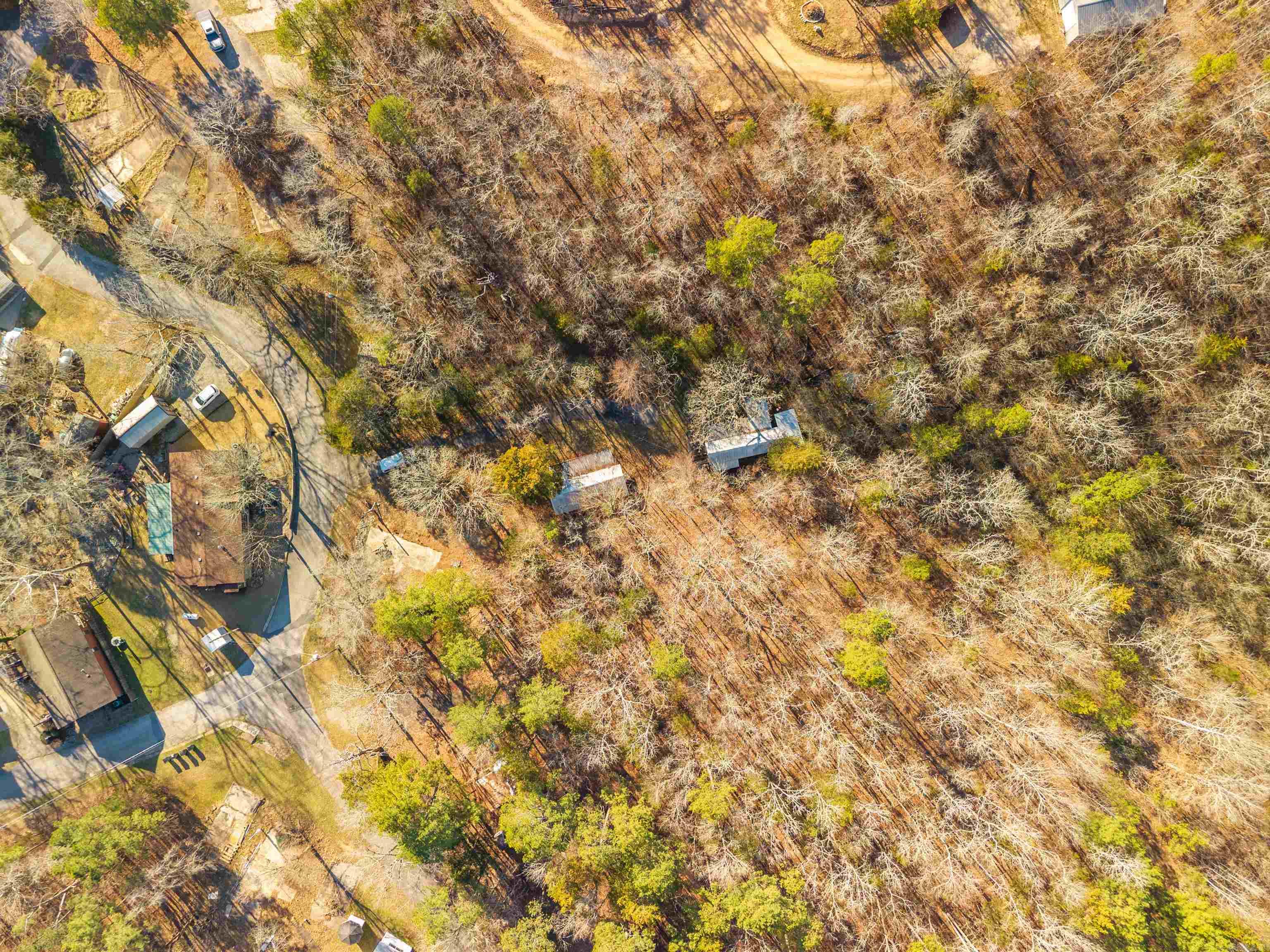 173 Barbary ID# 110207 Hot Springs, AR