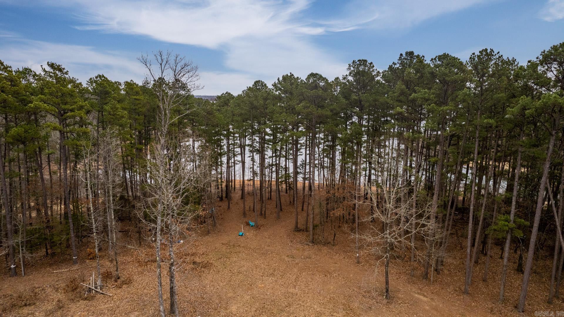 3195 Brownsville  Greers Ferry, AR