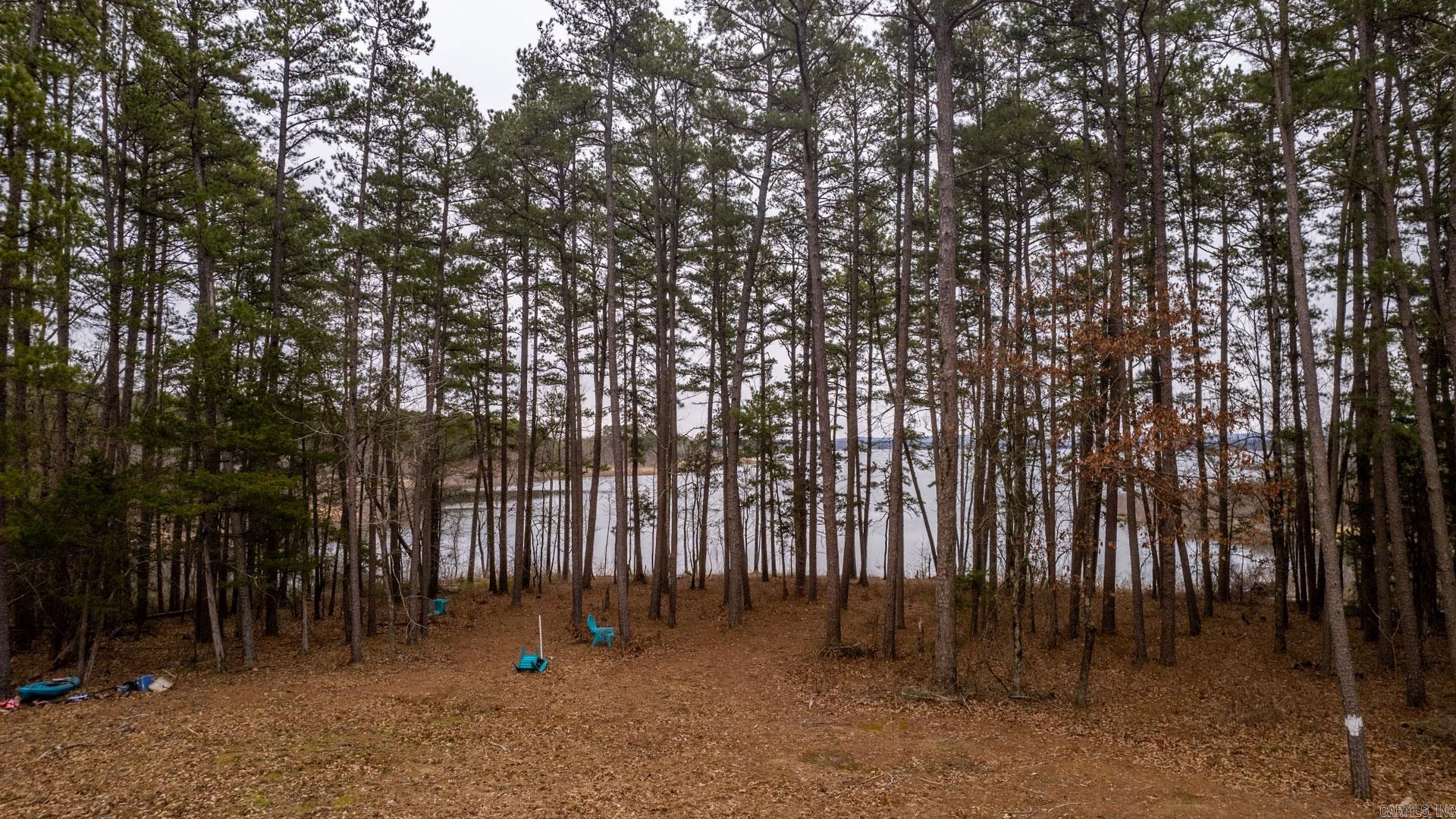 3195 Brownsville  Greers Ferry, AR