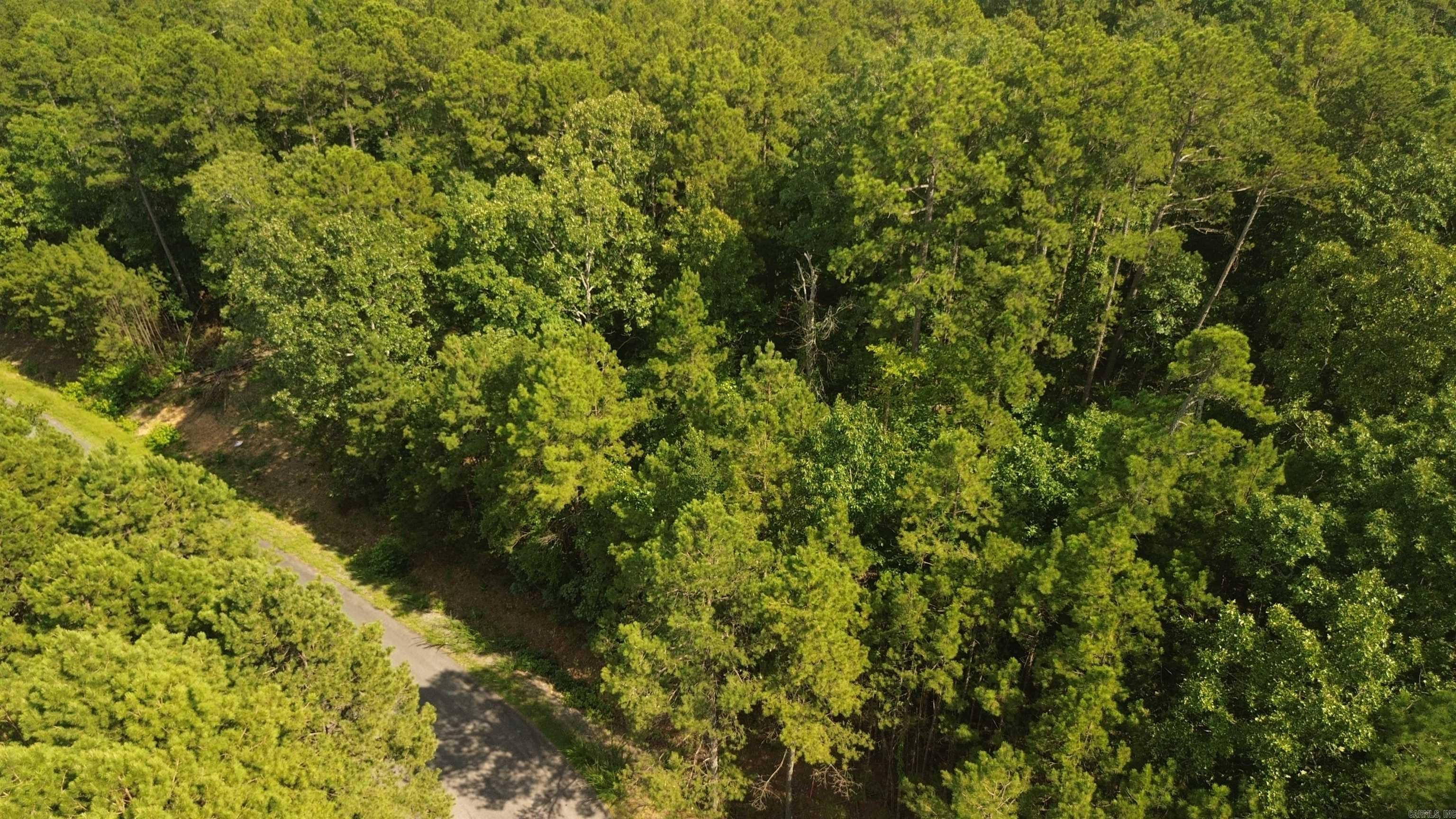 Tract 3 Cobalt Bay Drive  Shirley, AR