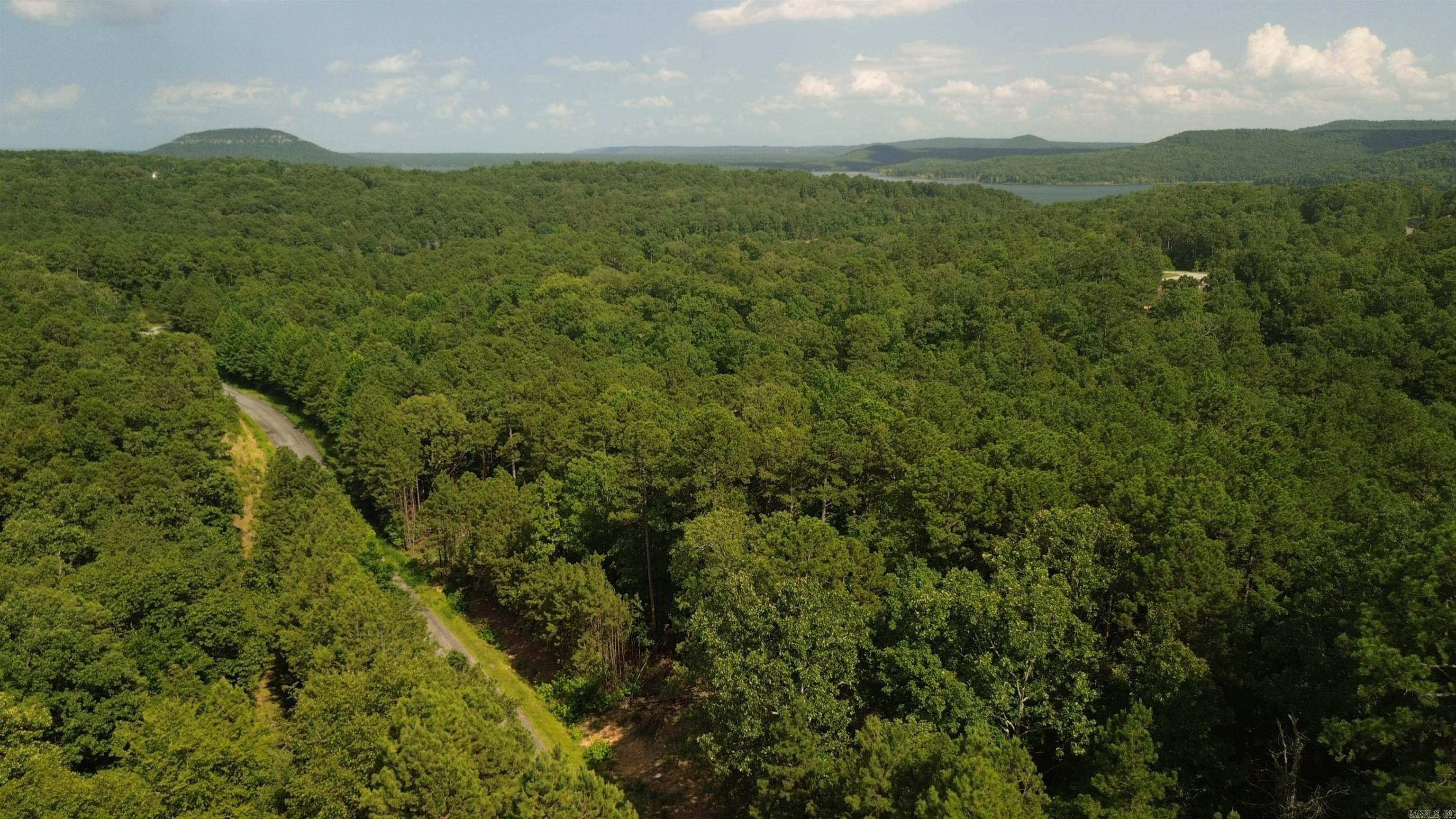 Tract 4 Cobalt Bay Drive  Shirley, AR