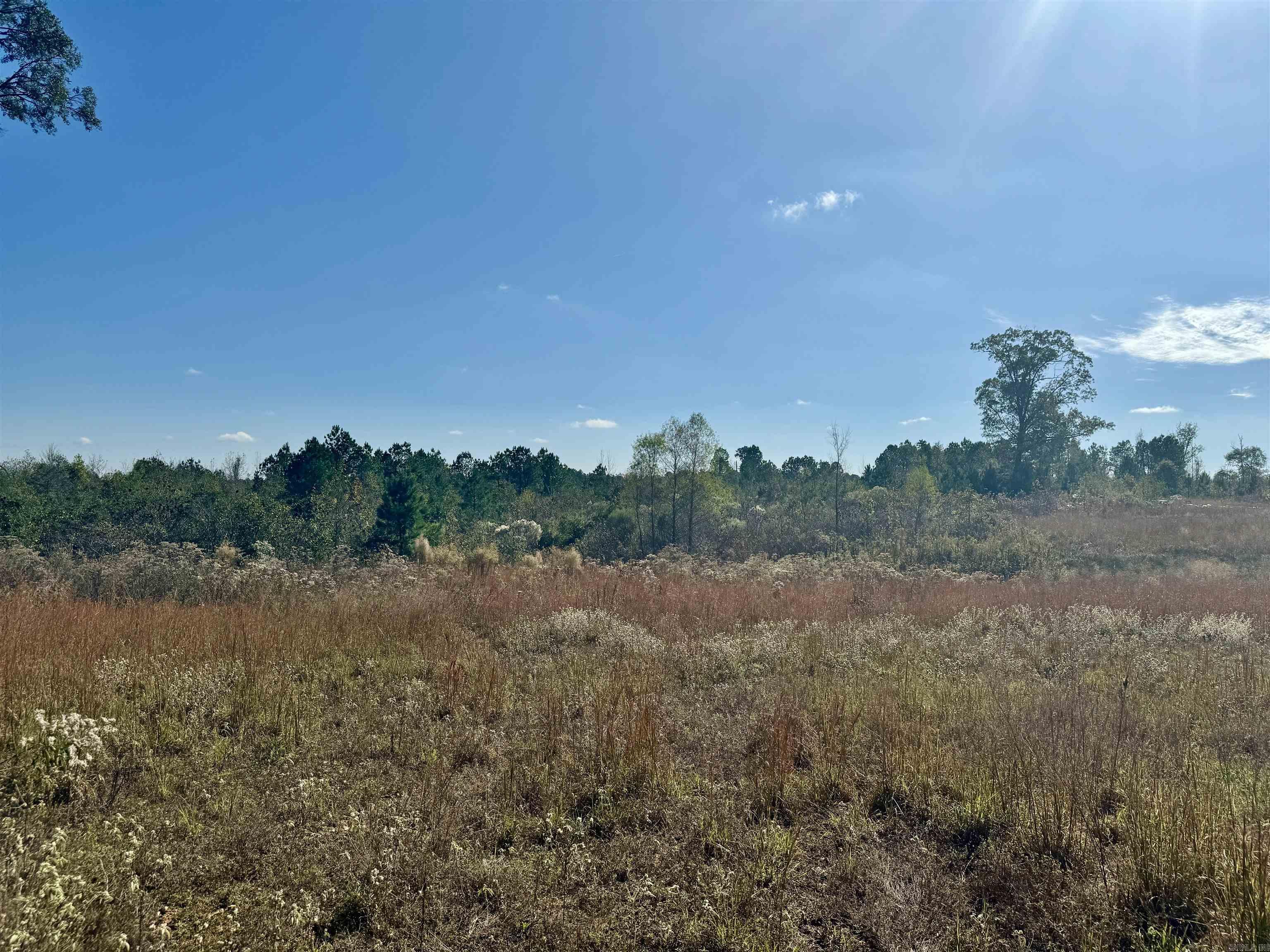 987 Walker  Amity, AR