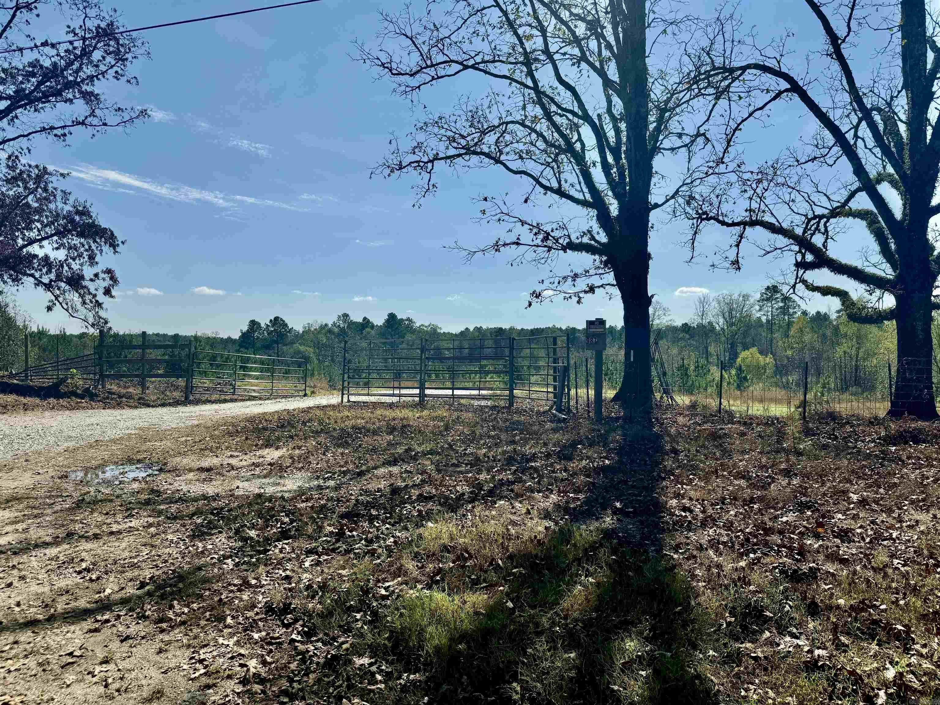 987 Walker  Amity, AR