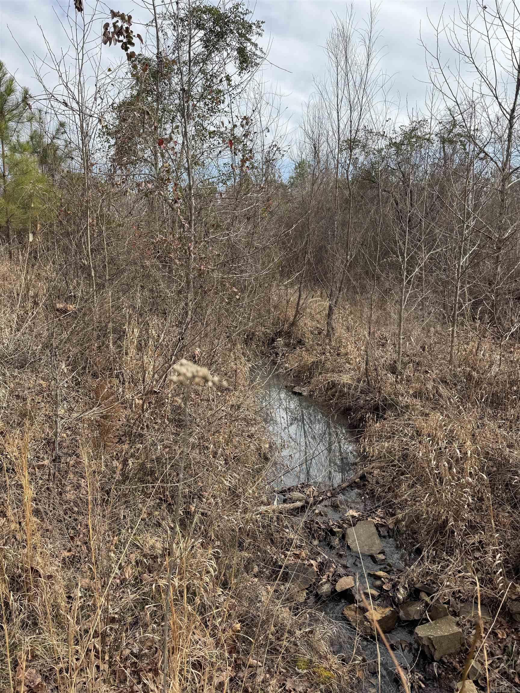 987 Walker  Amity, AR