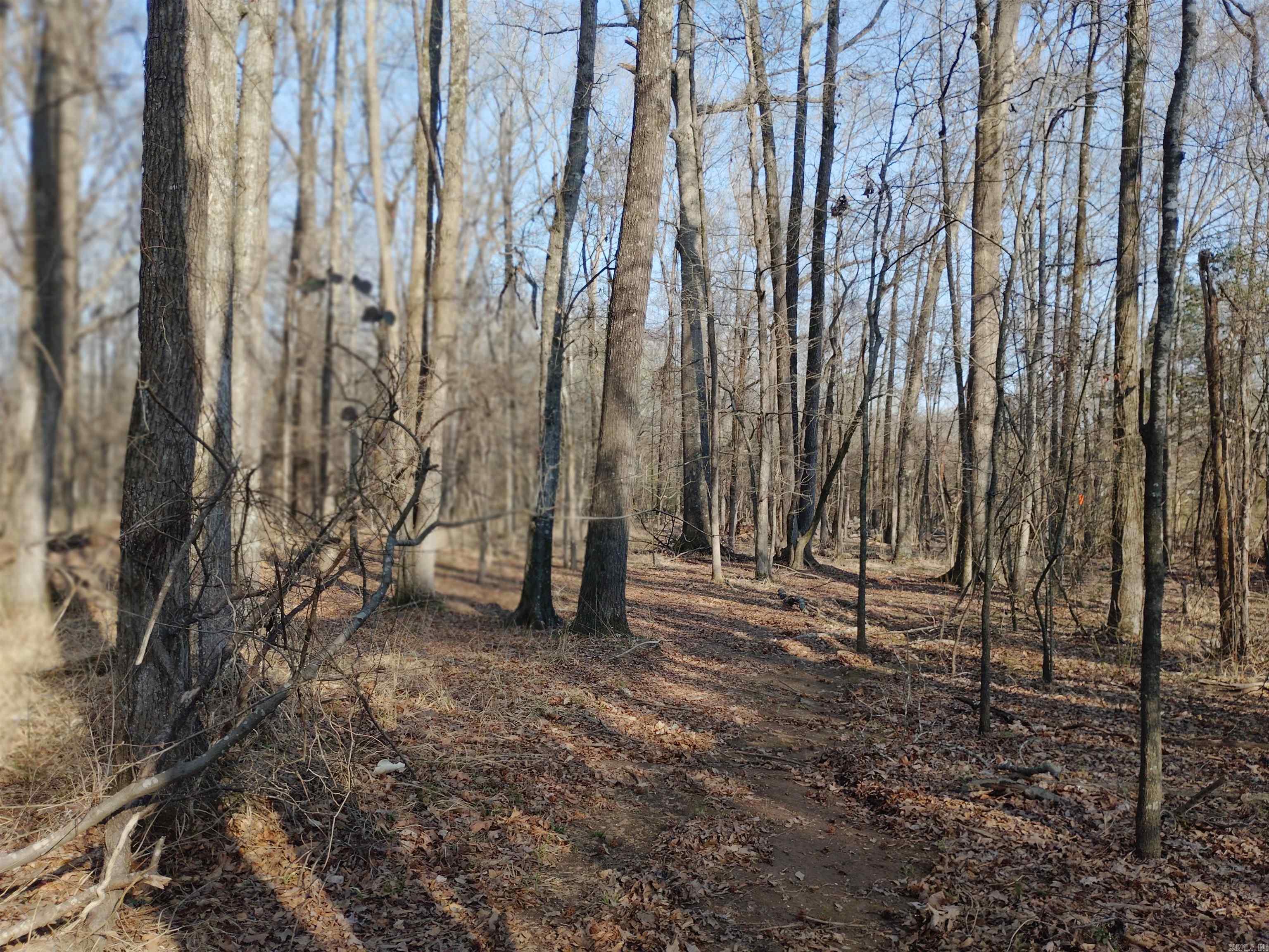 00 Main  Jacksonville, AR