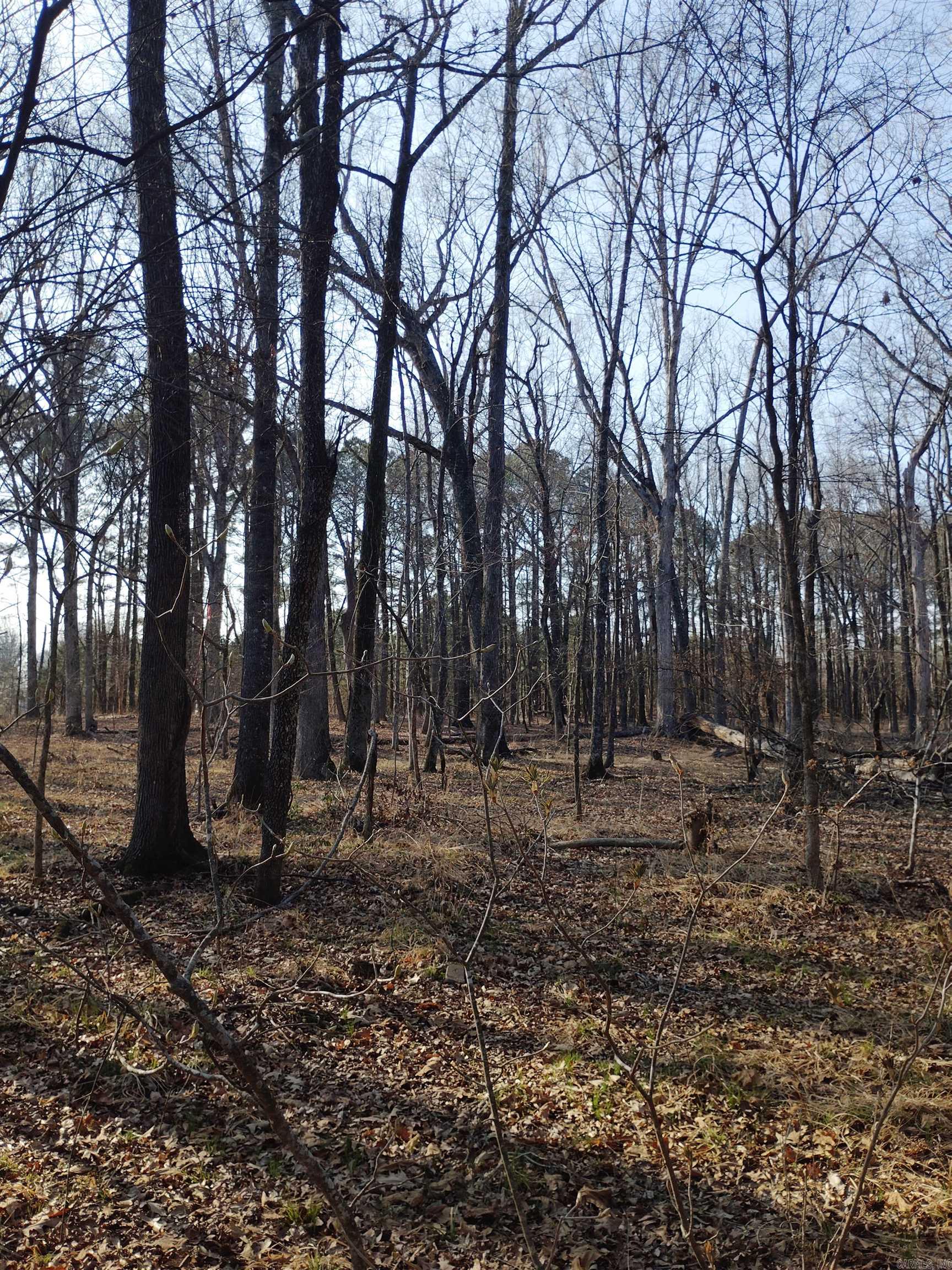 00 Main  Jacksonville, AR