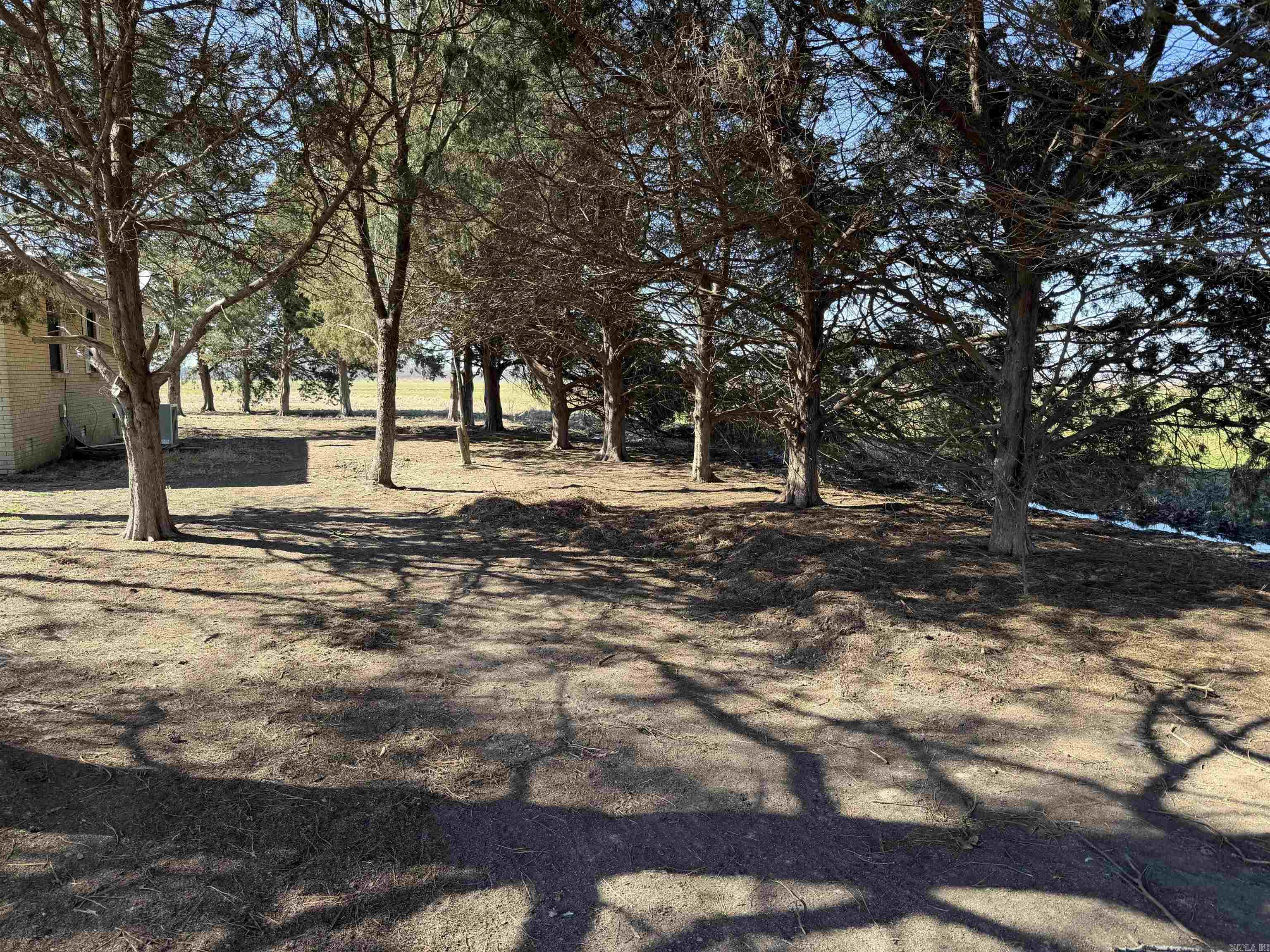 1187 Highway 91  Walnut Ridge, AR