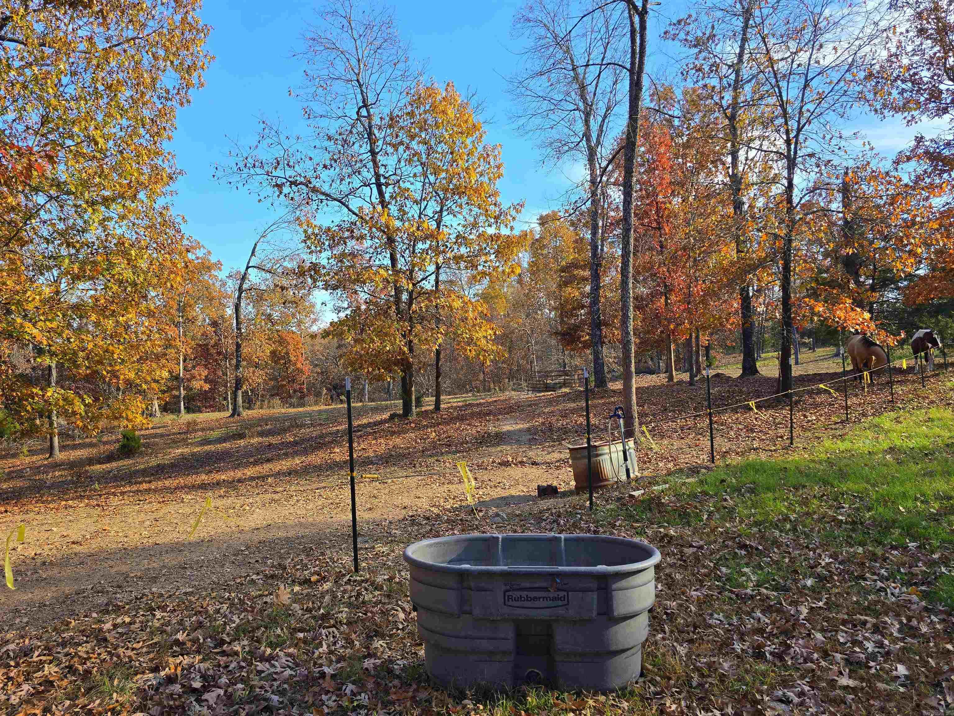 768 CR 153  Elizabeth, AR