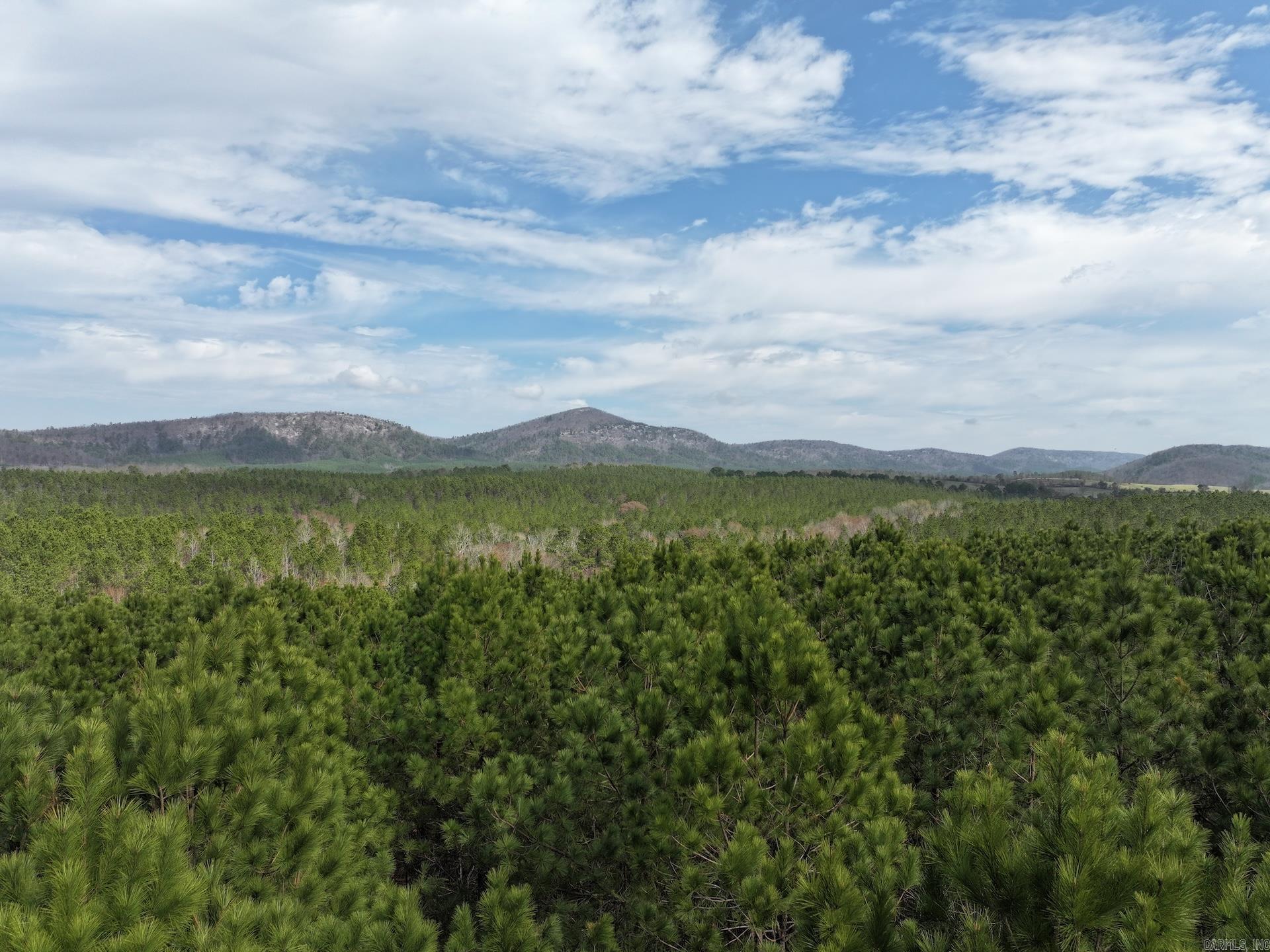 XXX J Dunson  Langley, AR