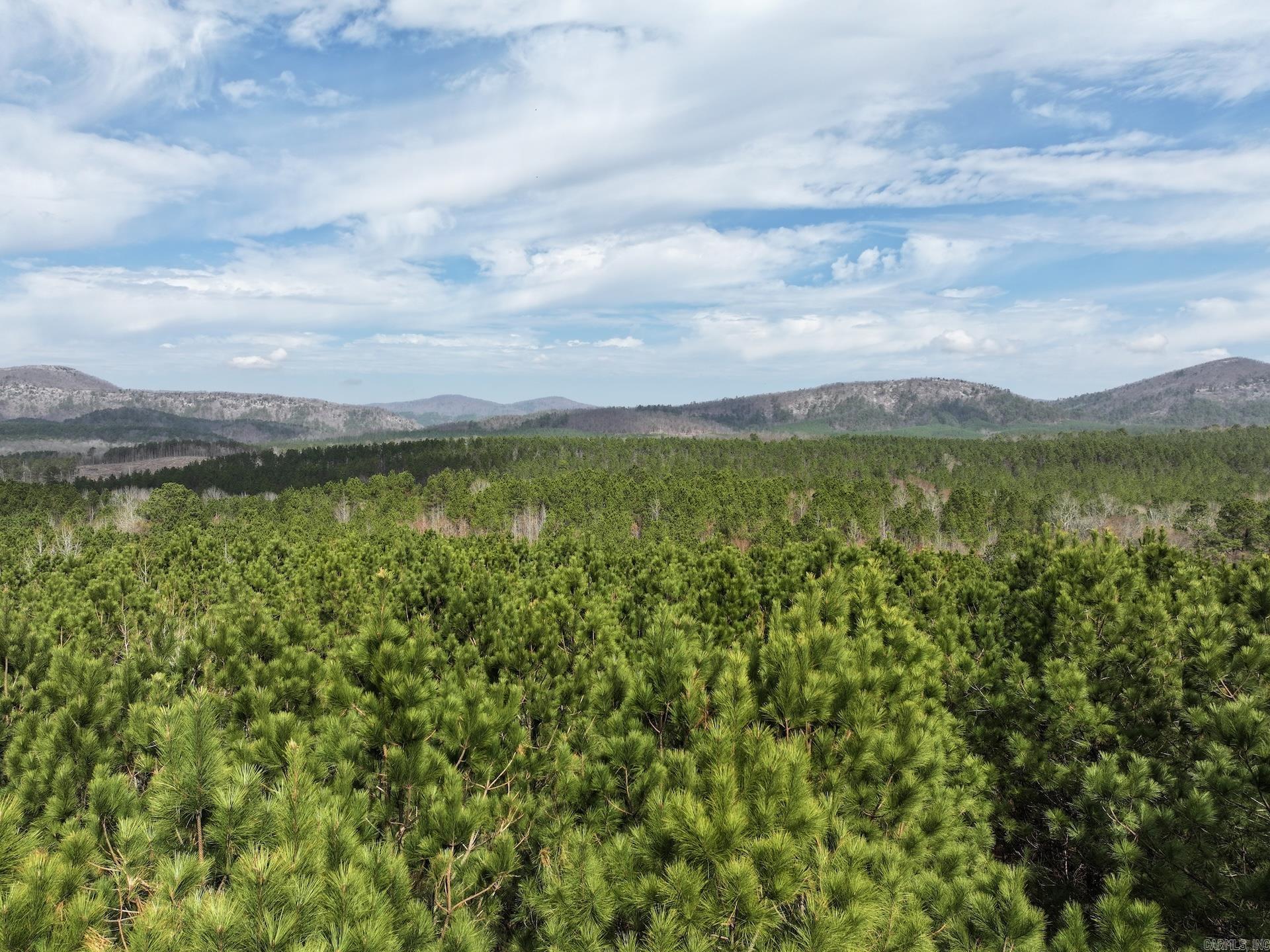 XXX J Dunson  Langley, AR