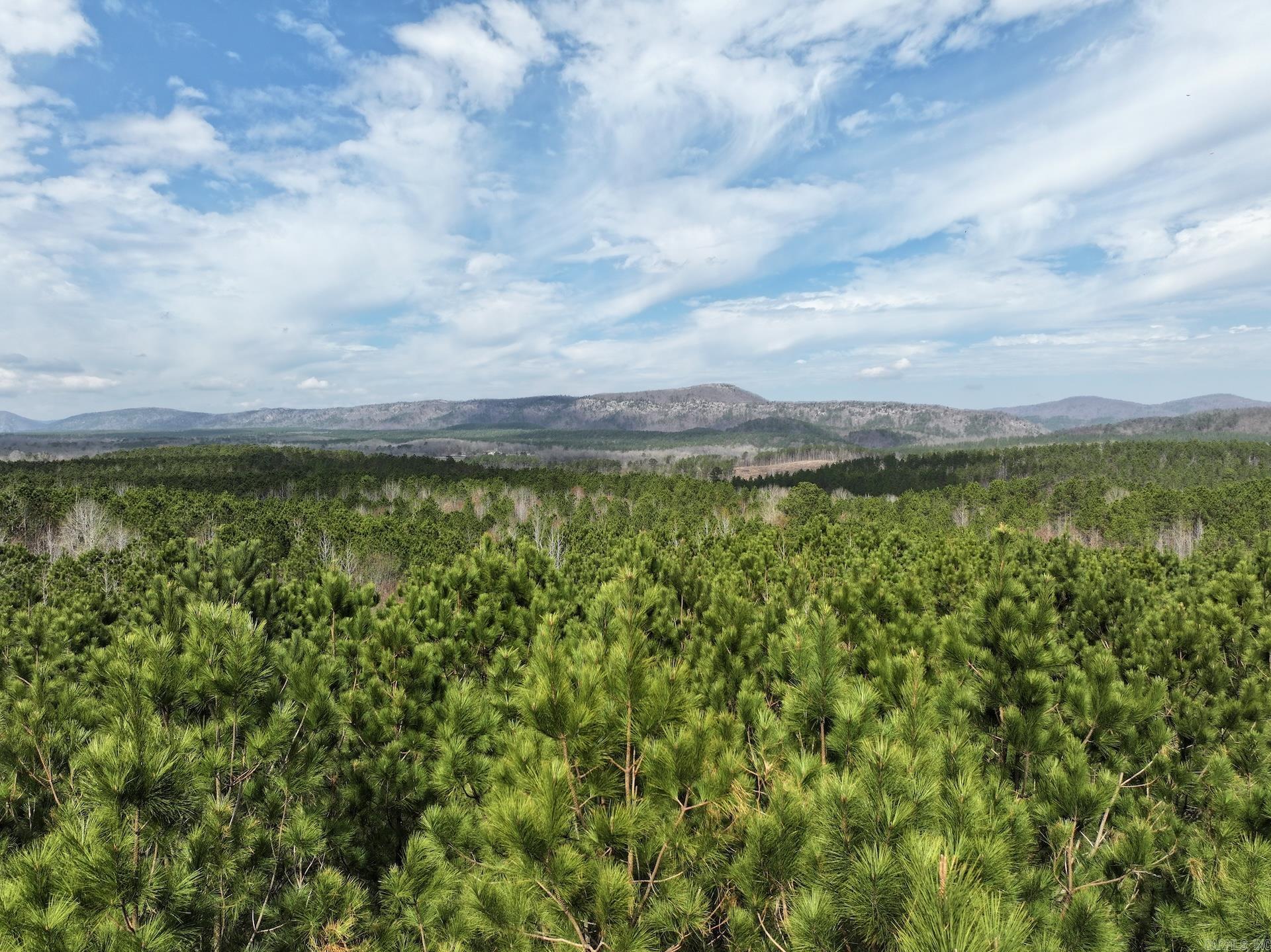 XXX J Dunson  Langley, AR