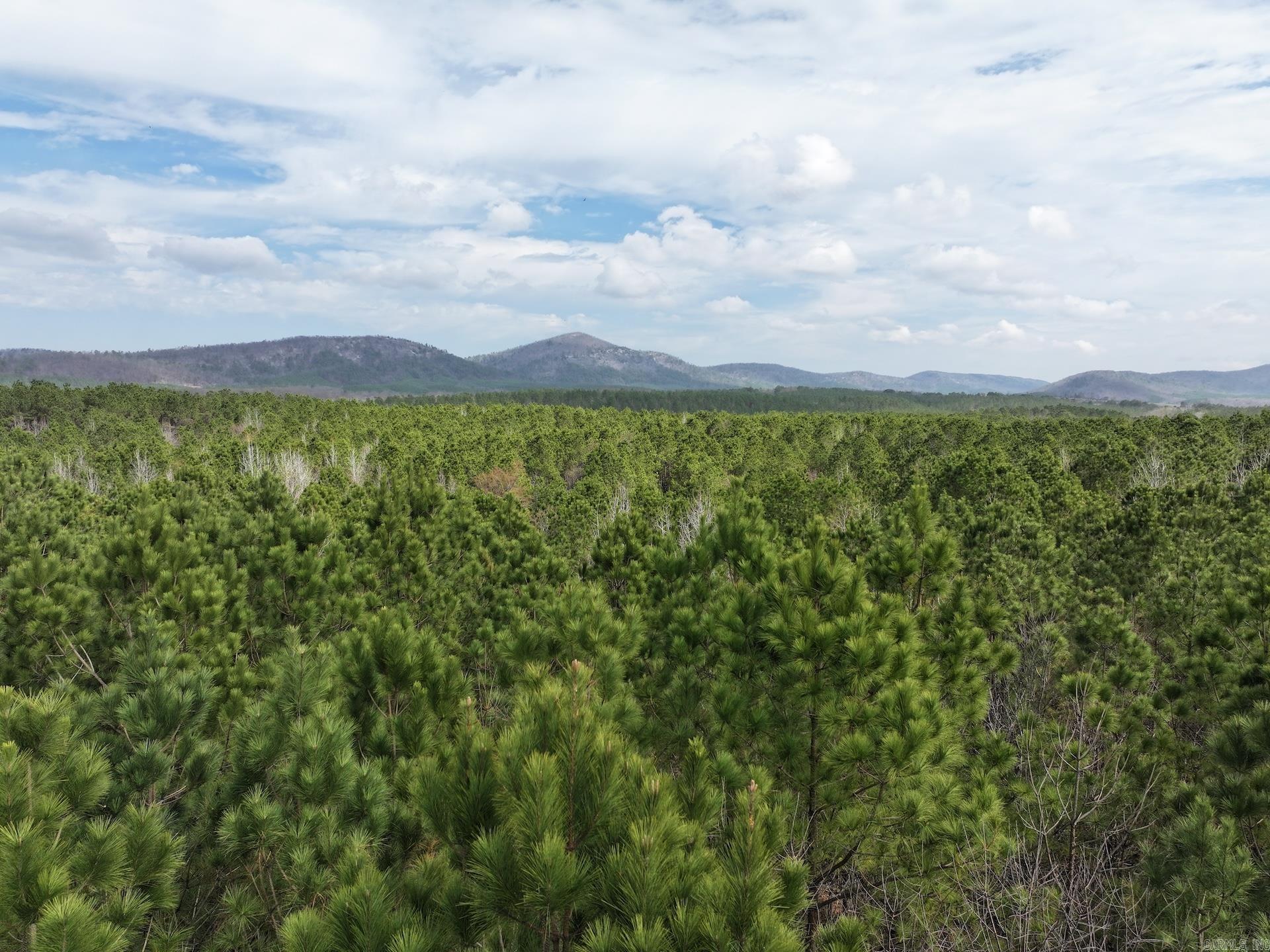 XXX J Dunson  Langley, AR