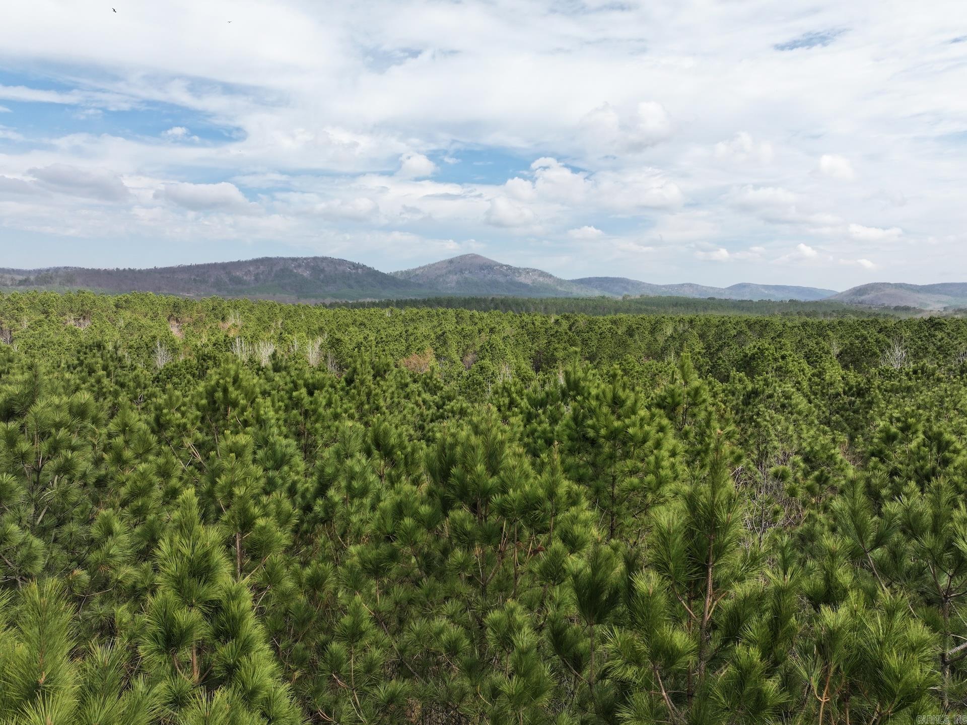 XXX J Dunson  Langley, AR