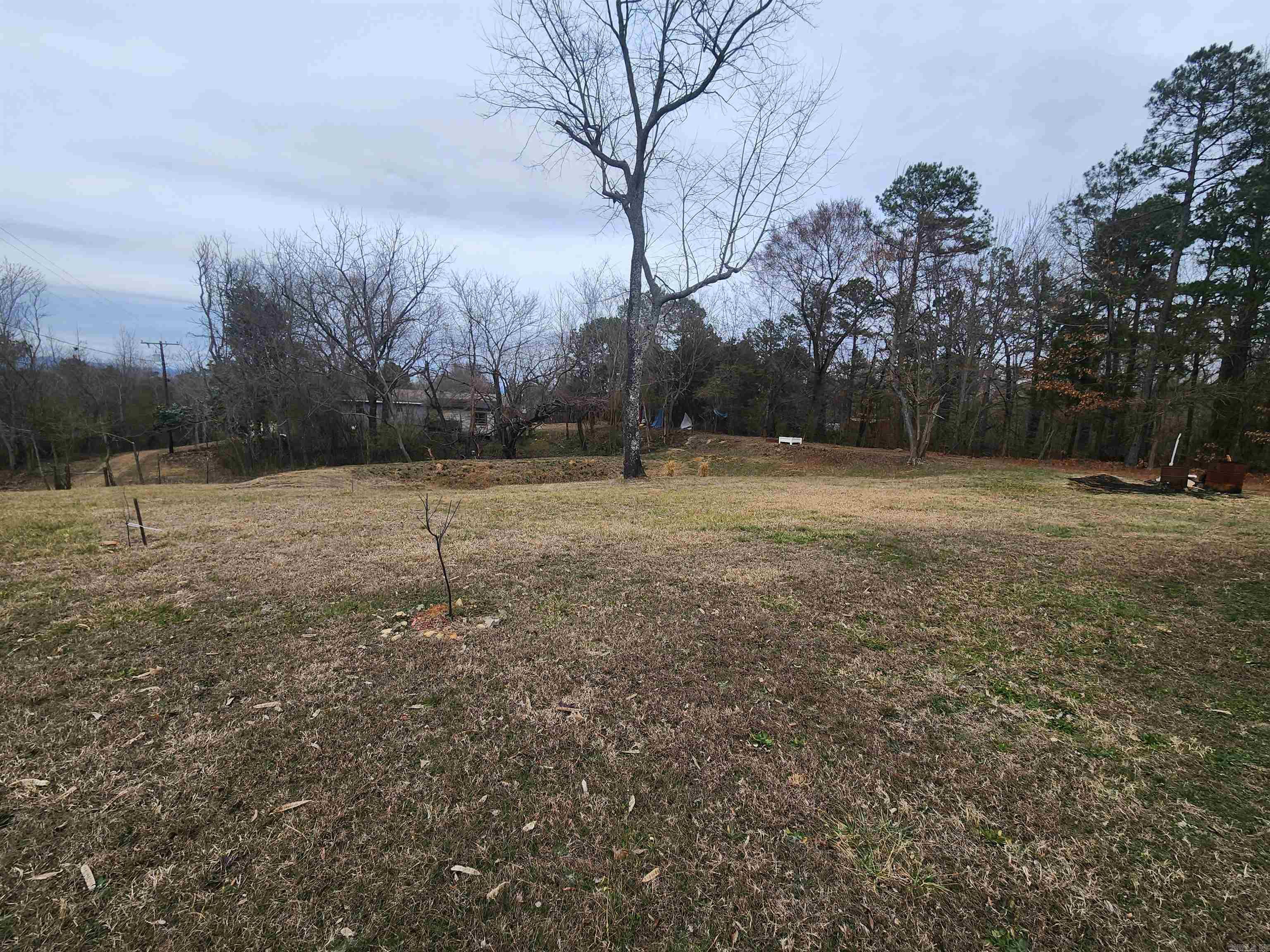 118 W Oak St  Cove, AR