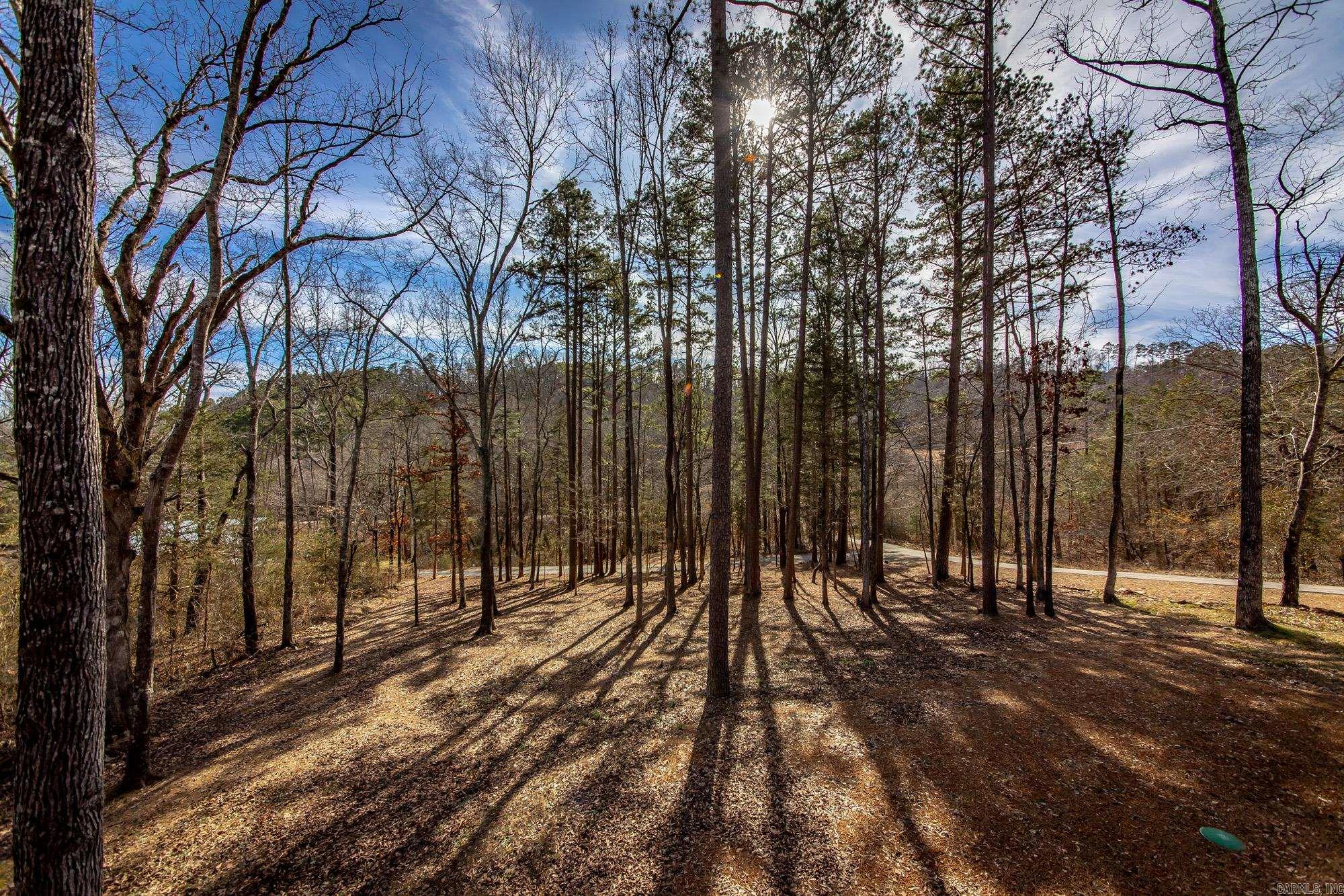 184 Guffey  Shirley, AR