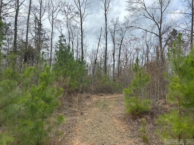 000 S Highway 167  Sheridan, AR