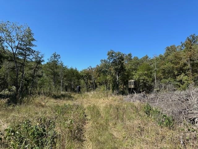 0000 Buck Ridge  Williford, AR