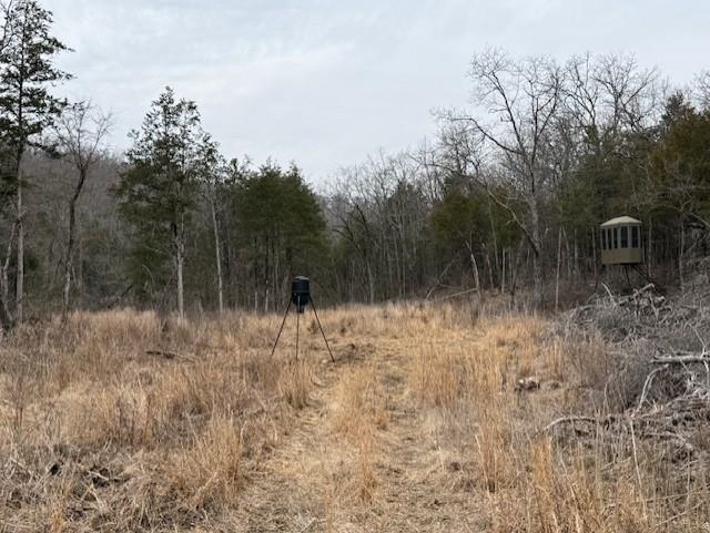 0000 Buck Ridge  Williford, AR