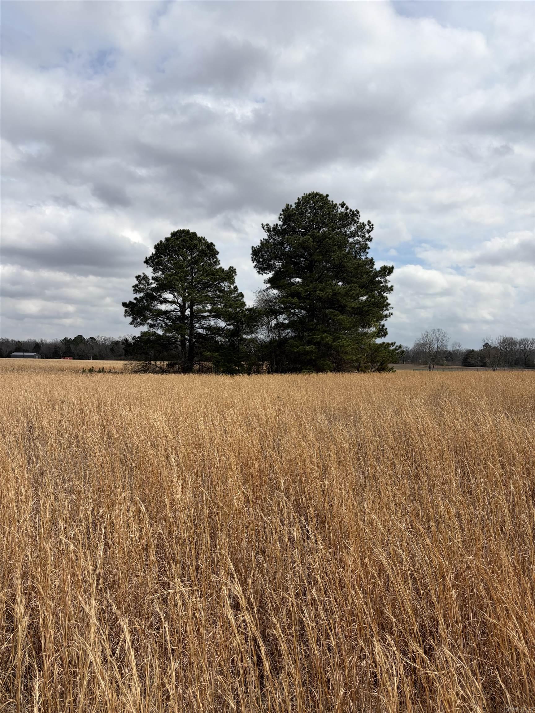 000 Hwy 267 spur  Beebe, AR