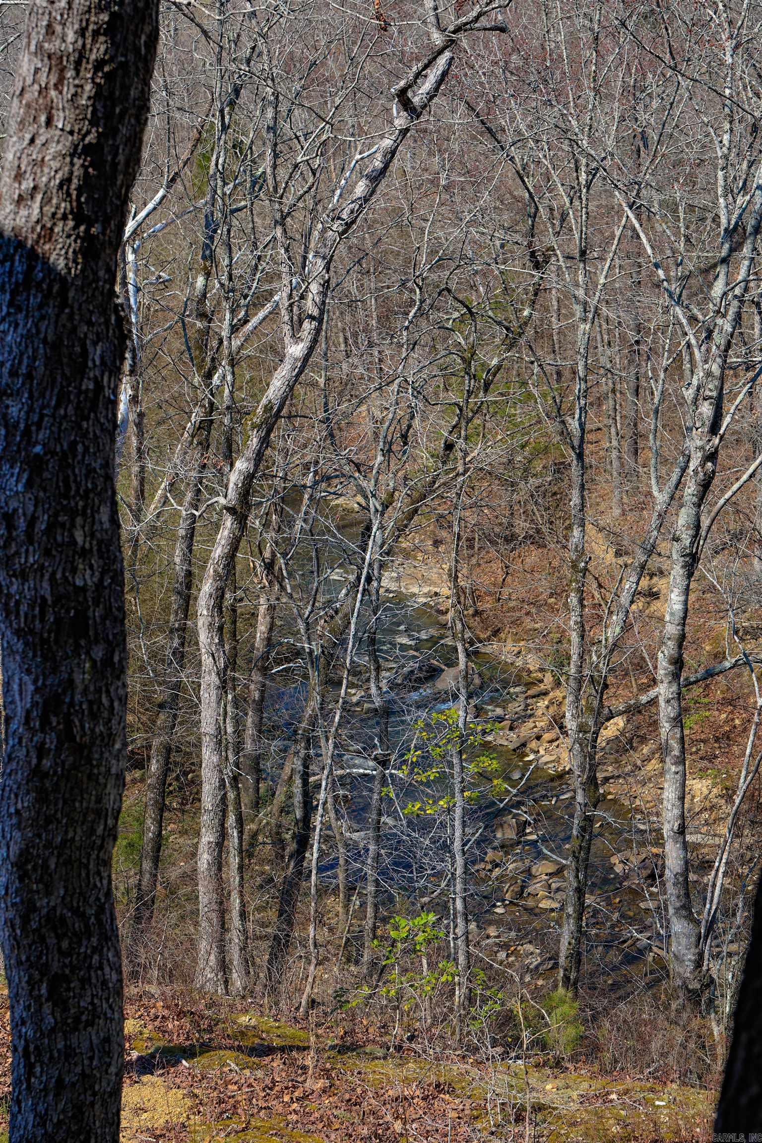 64 E Riverwatch  Glenwood, AR