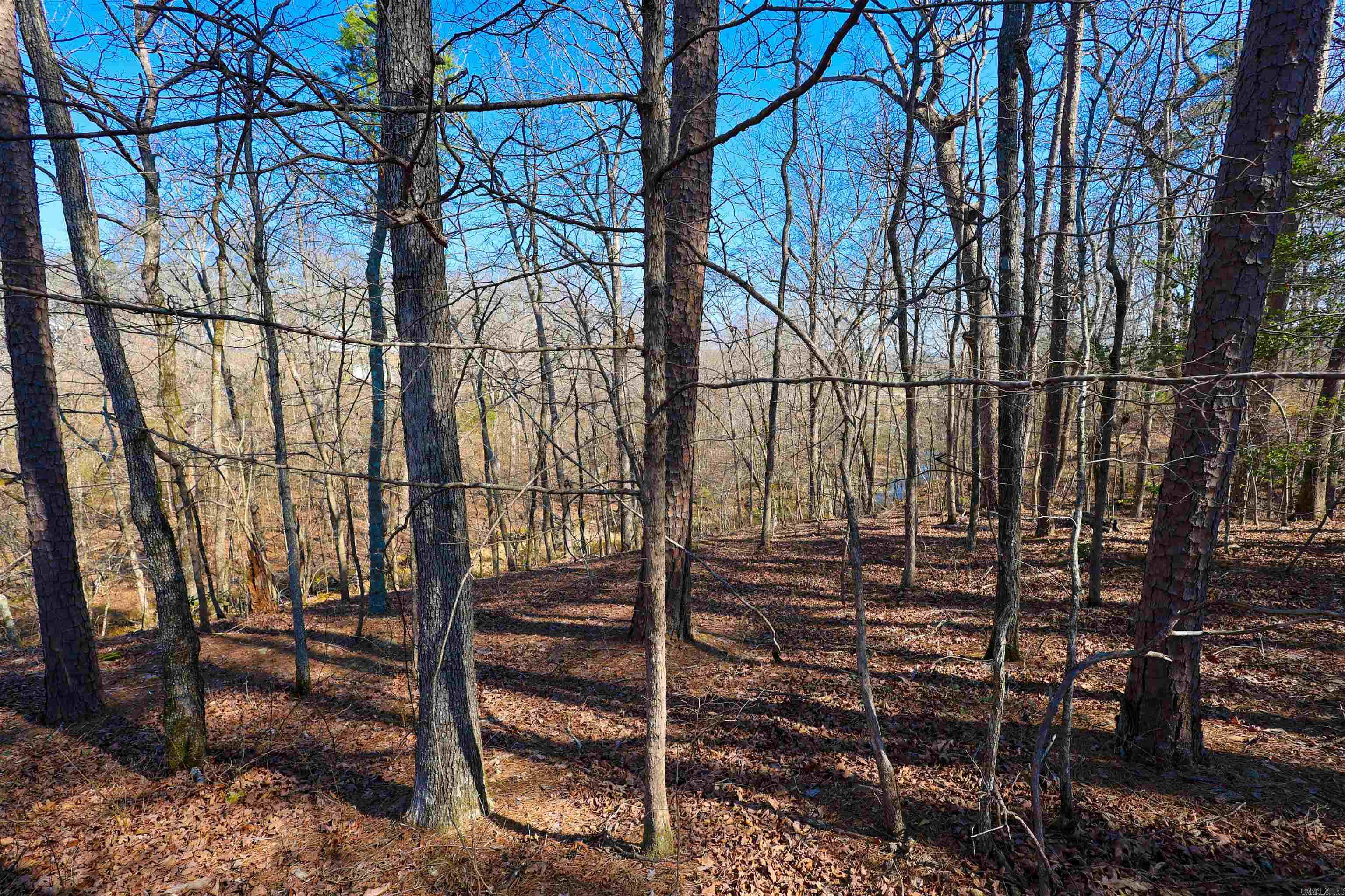 64 E Riverwatch  Glenwood, AR