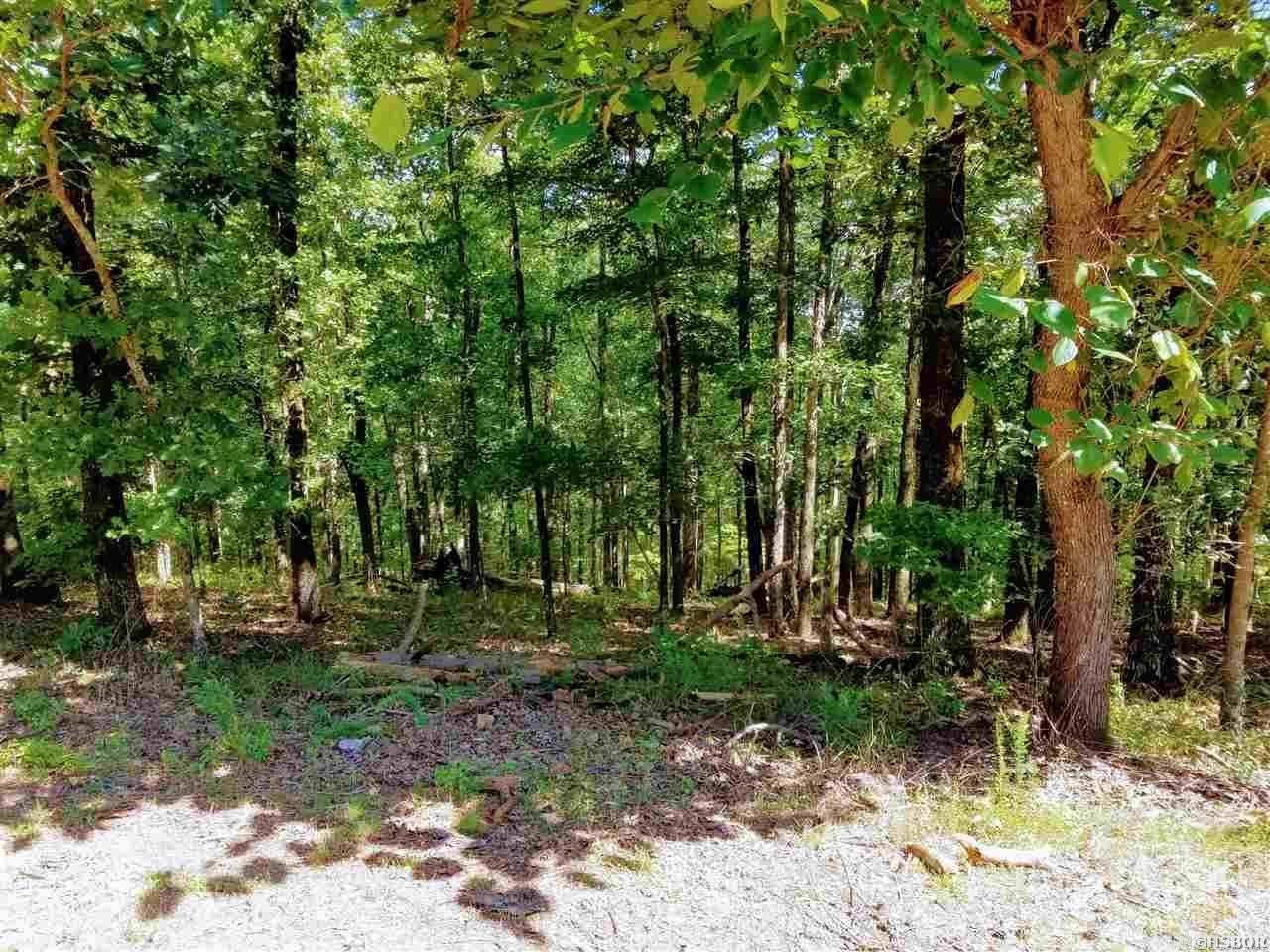 lot 3678A OHIO  Hot Springs, AR