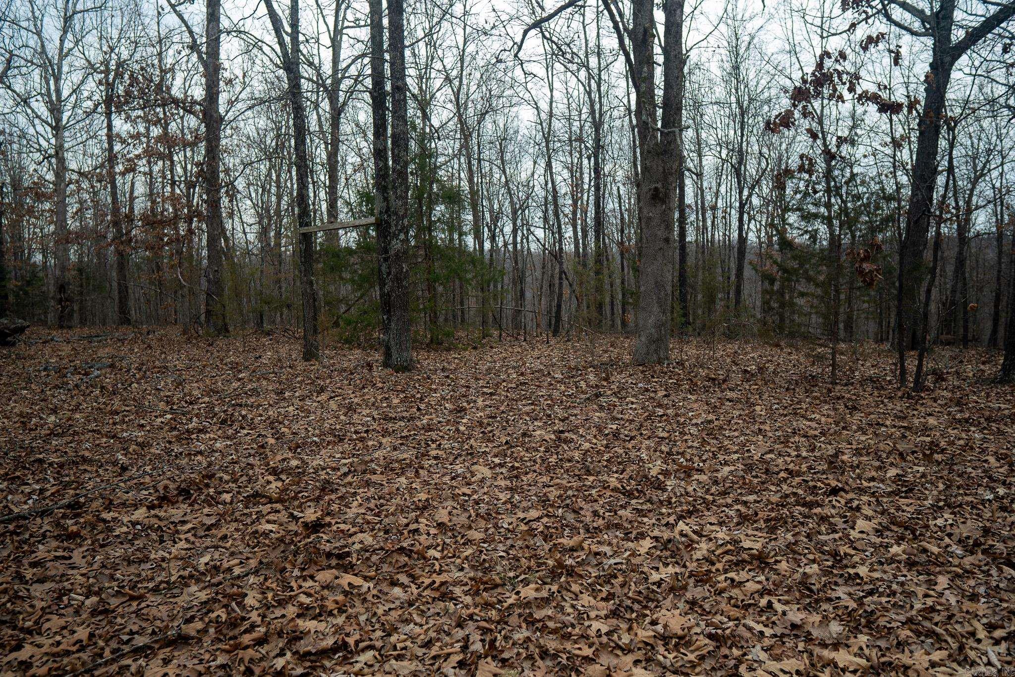 000 Nubbin Ridge  Ravenden Springs, AR