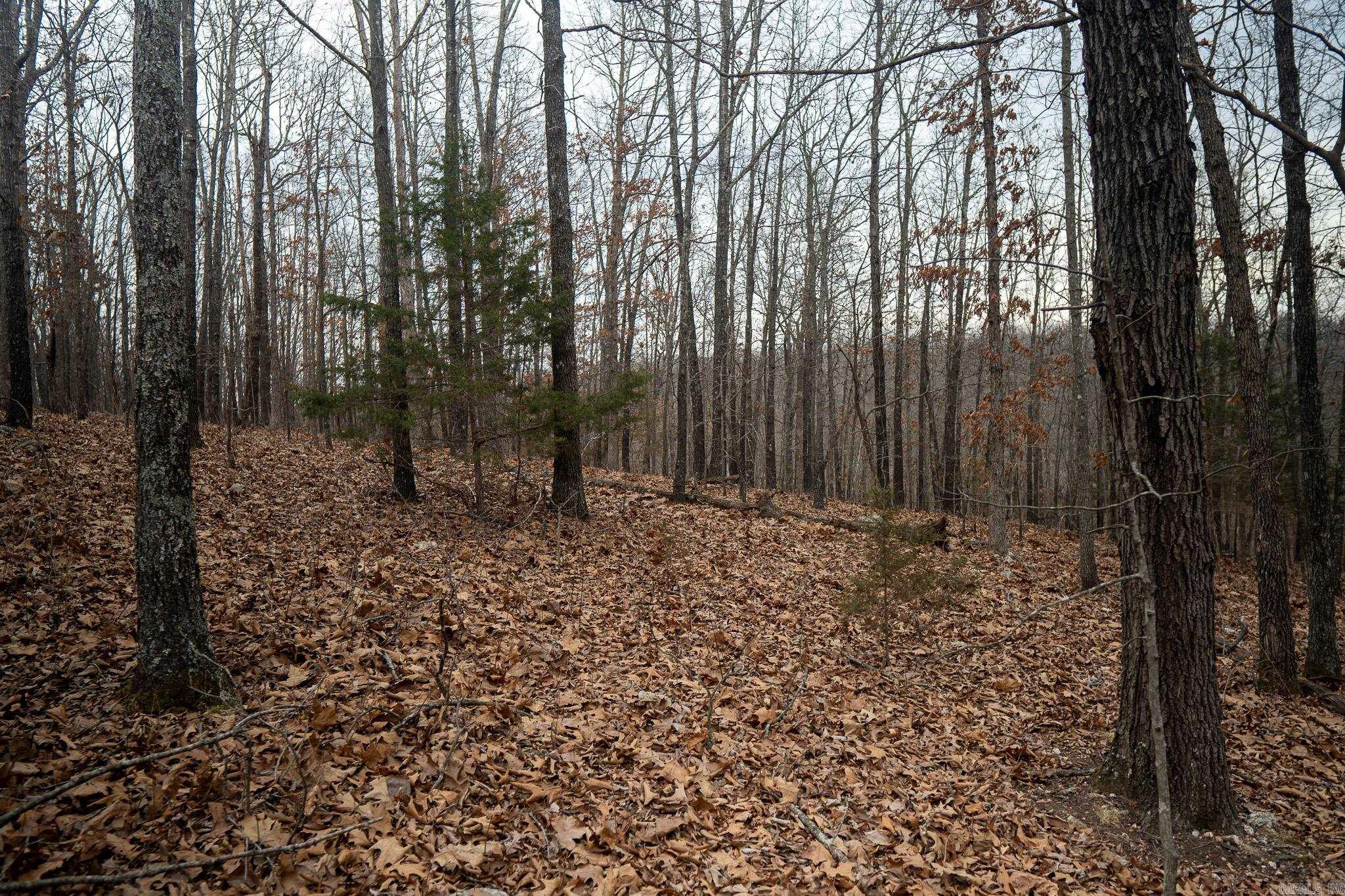 000 Nubbin Ridge  Ravenden Springs, AR