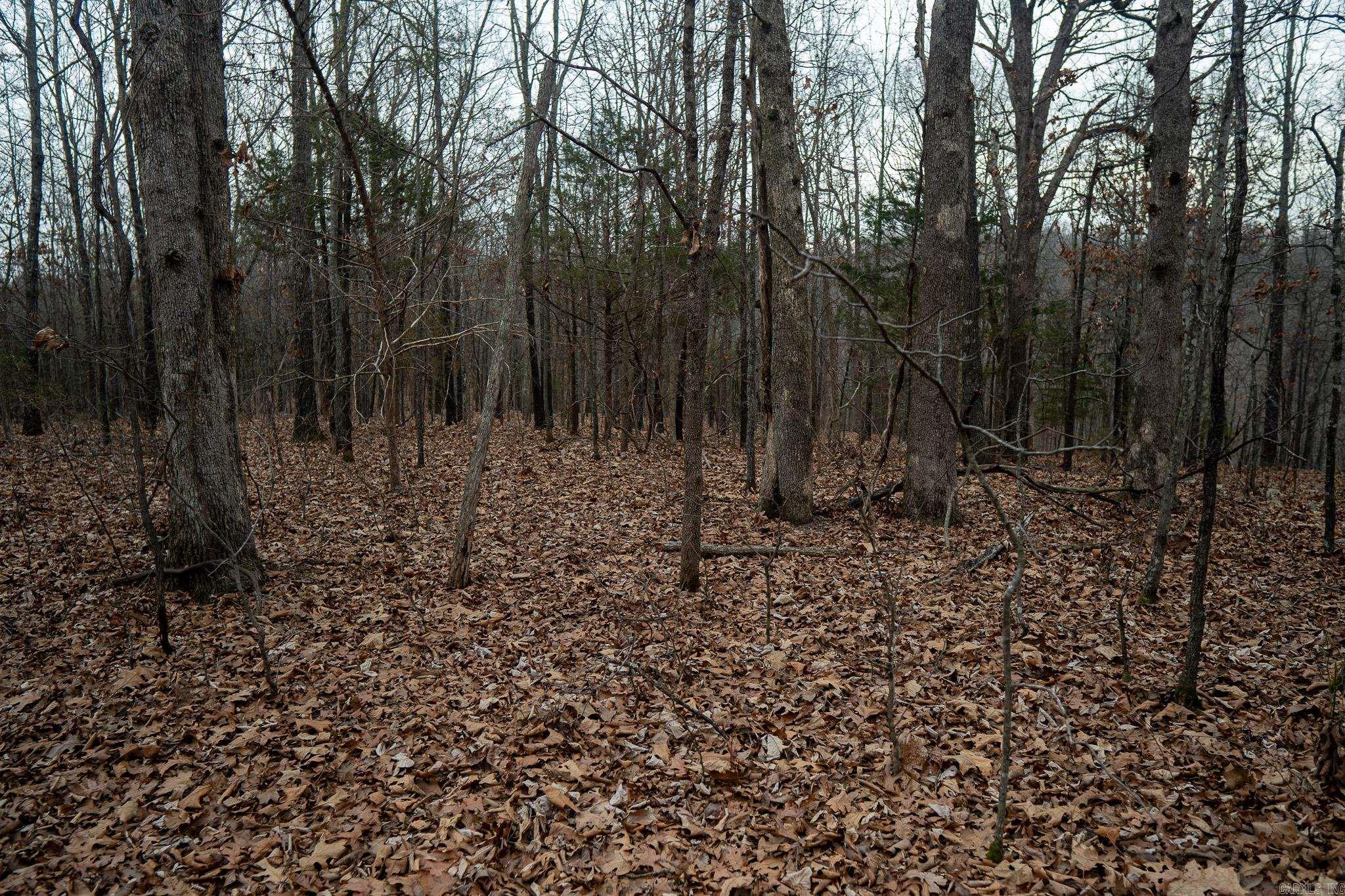 000 Nubbin Ridge  Ravenden Springs, AR