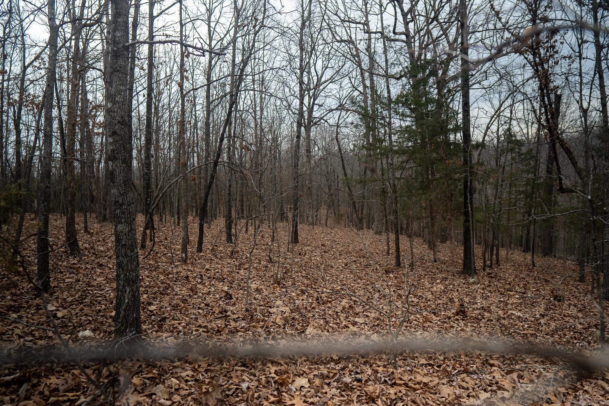 000 Nubbin Ridge  Ravenden Springs, AR