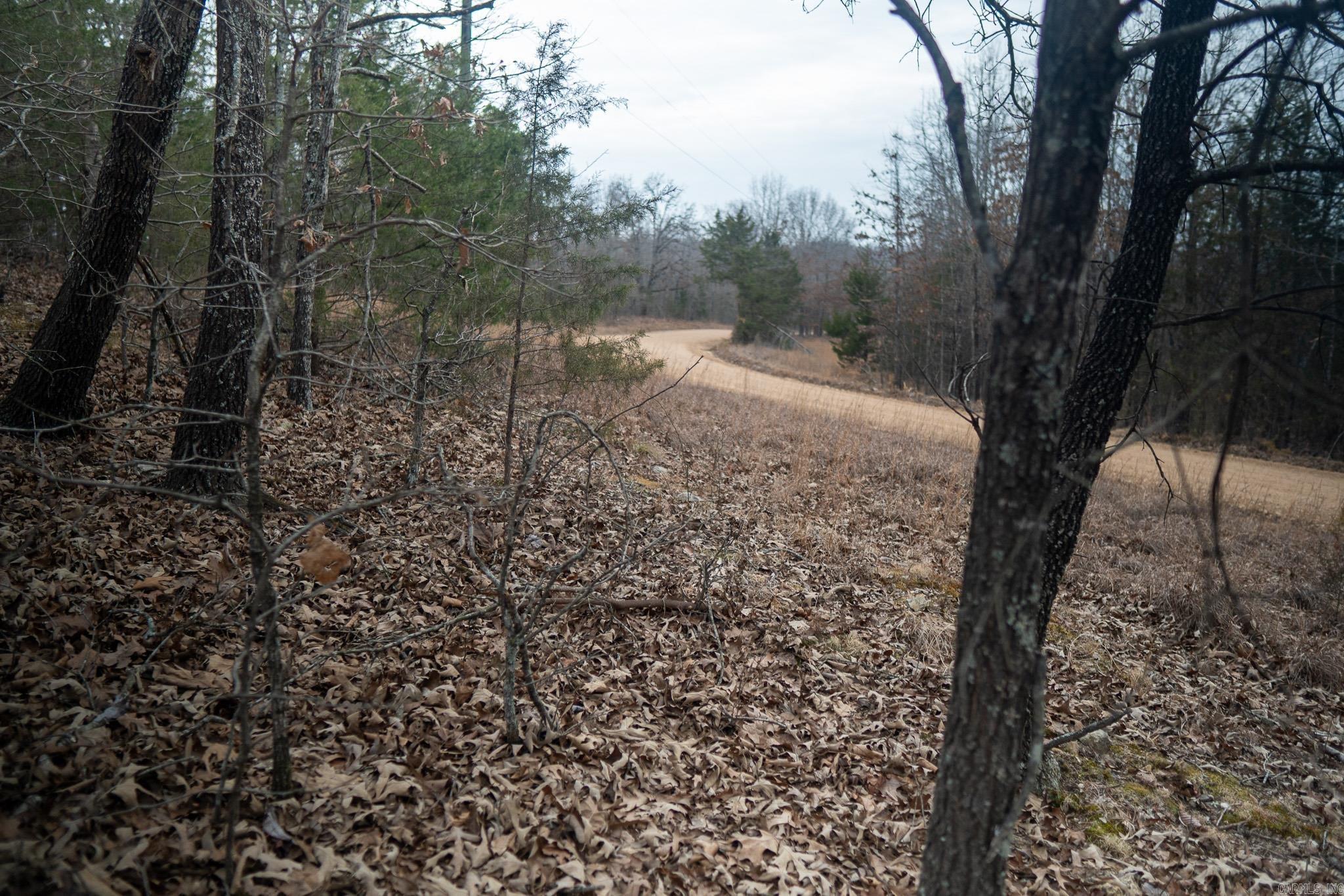 000 Nubbin Ridge  Ravenden Springs, AR