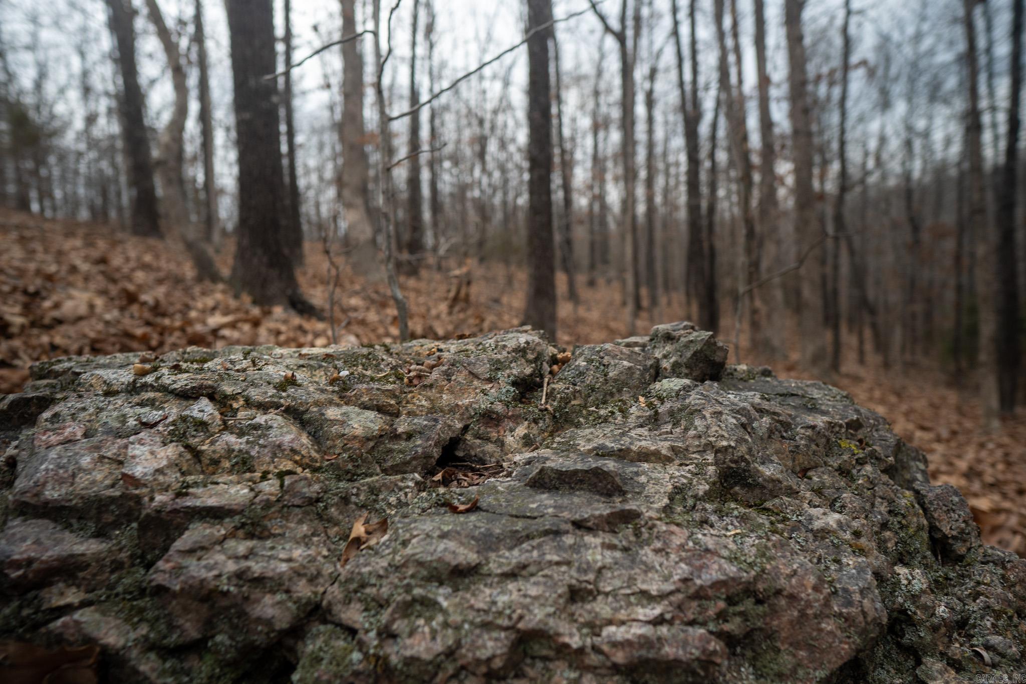 000 Nubbin Ridge  Ravenden Springs, AR
