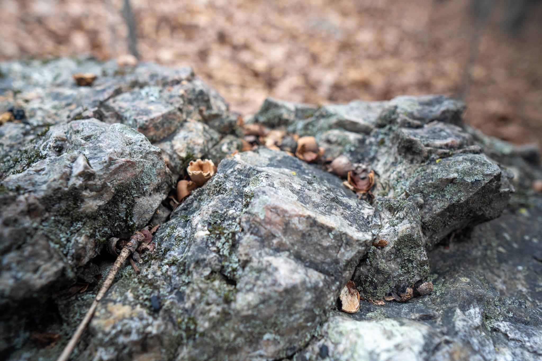 000 Nubbin Ridge  Ravenden Springs, AR
