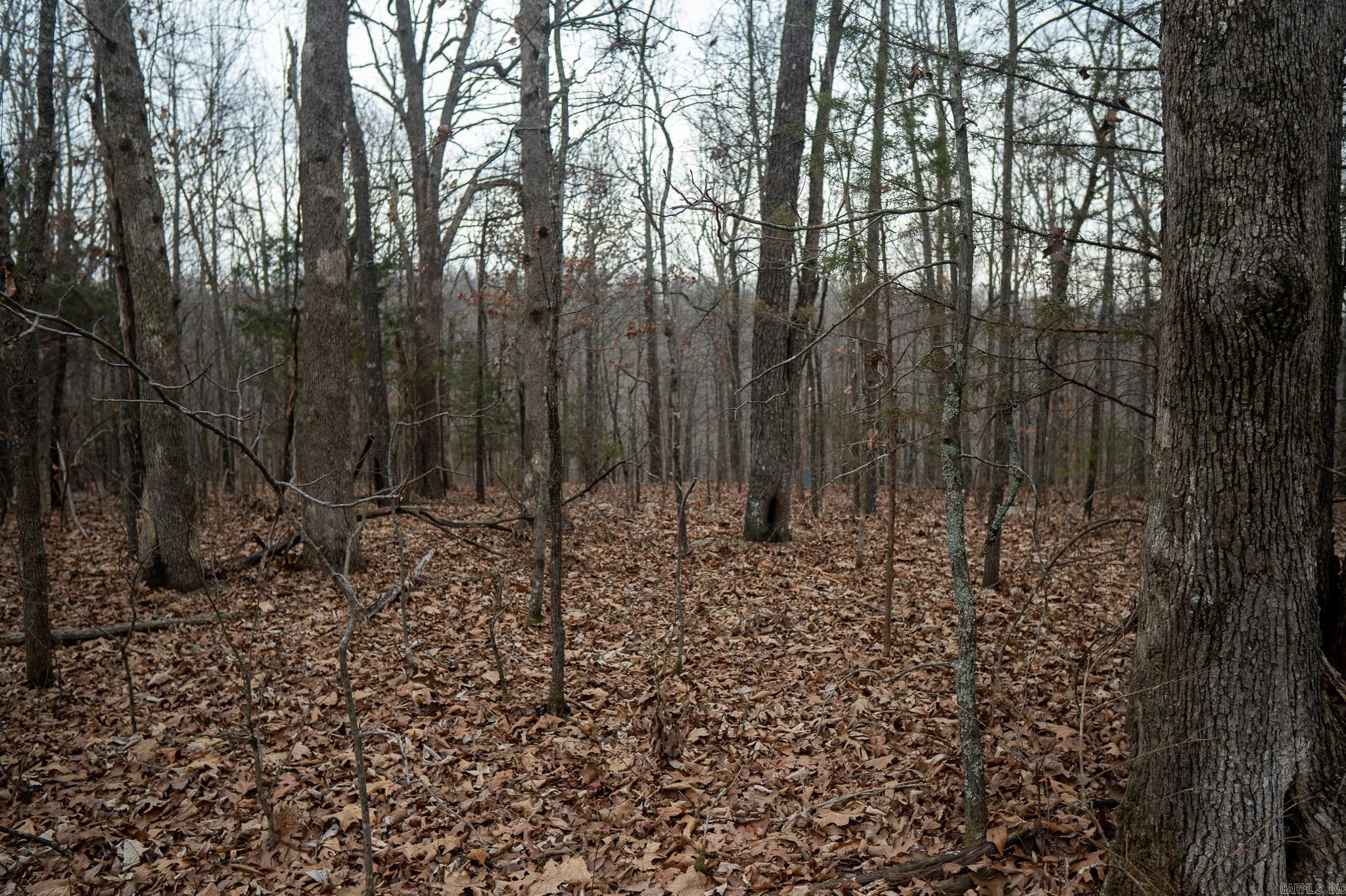 000 Nubbin Ridge  Ravenden Springs, AR