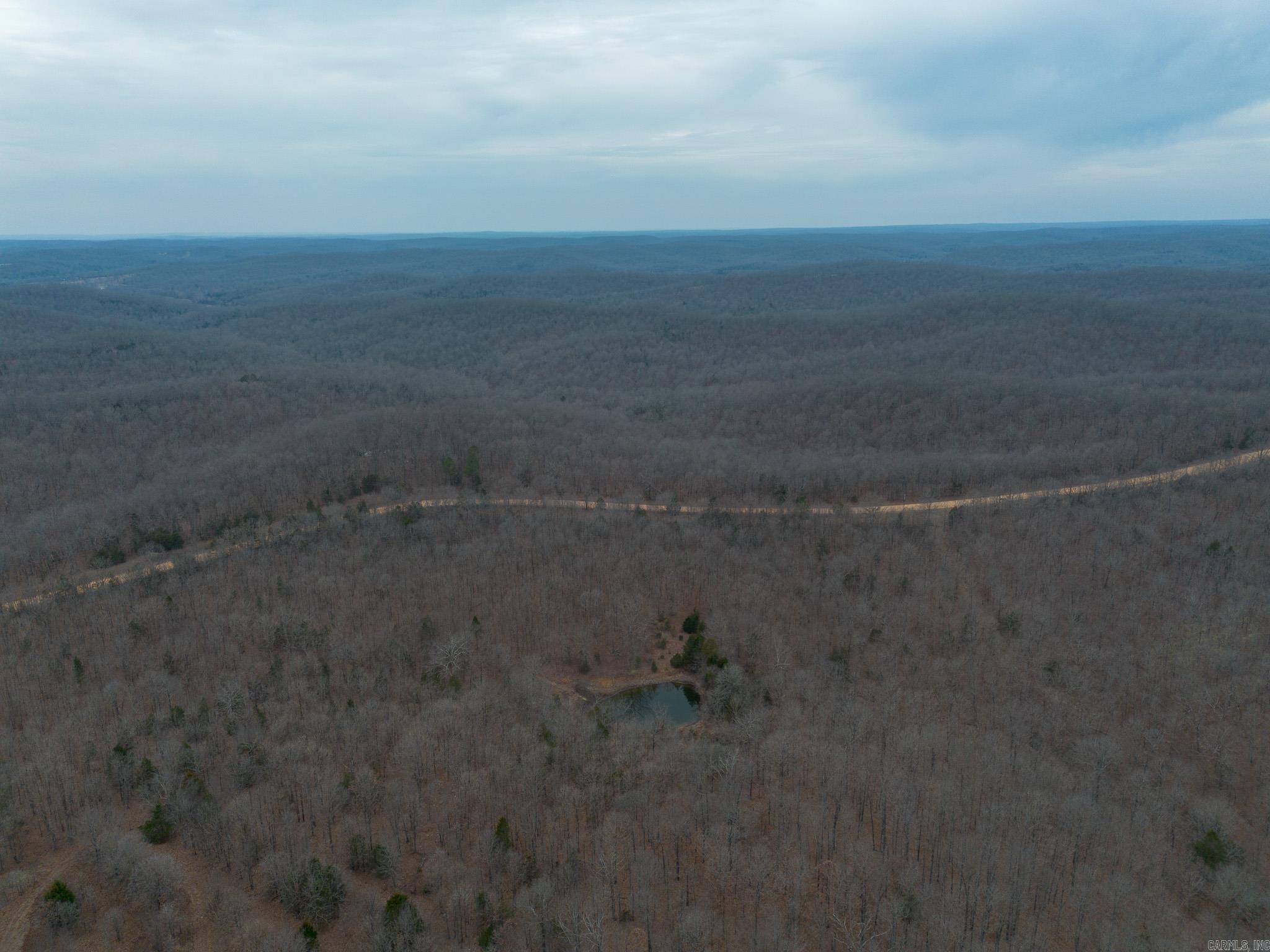 000 Nubbin Ridge  Ravenden Springs, AR