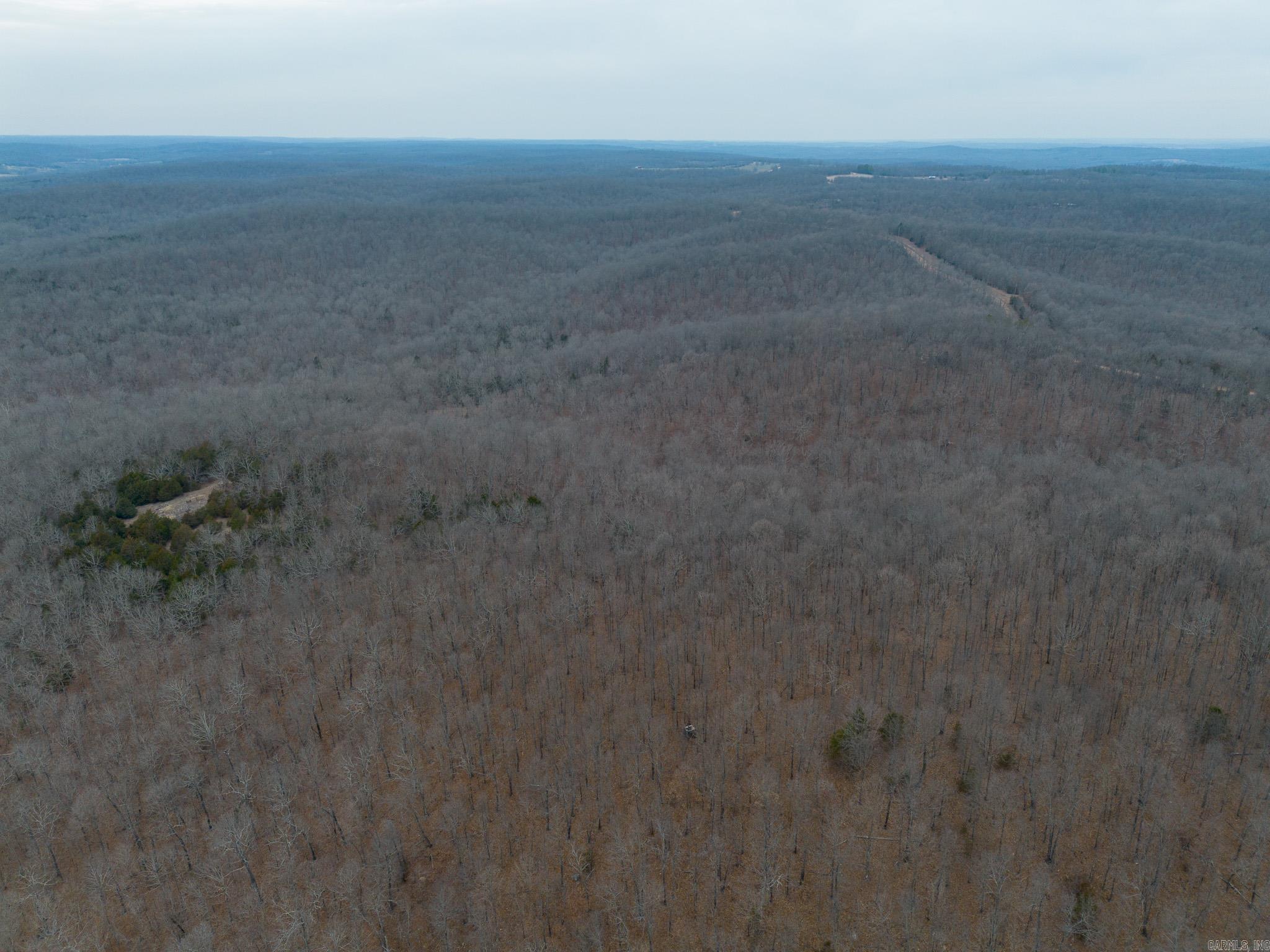 000 Nubbin Ridge  Ravenden Springs, AR