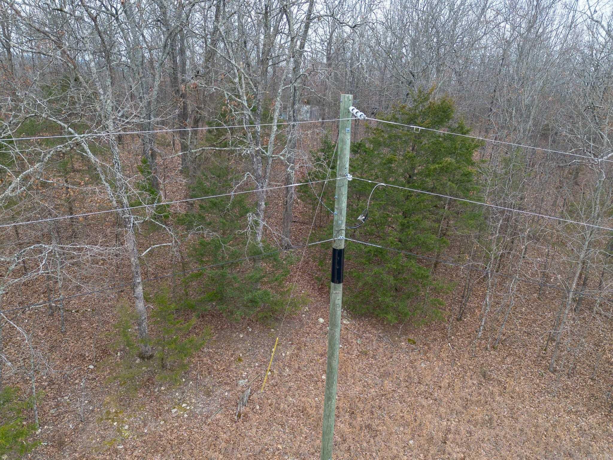 000 Nubbin Ridge  Ravenden Springs, AR