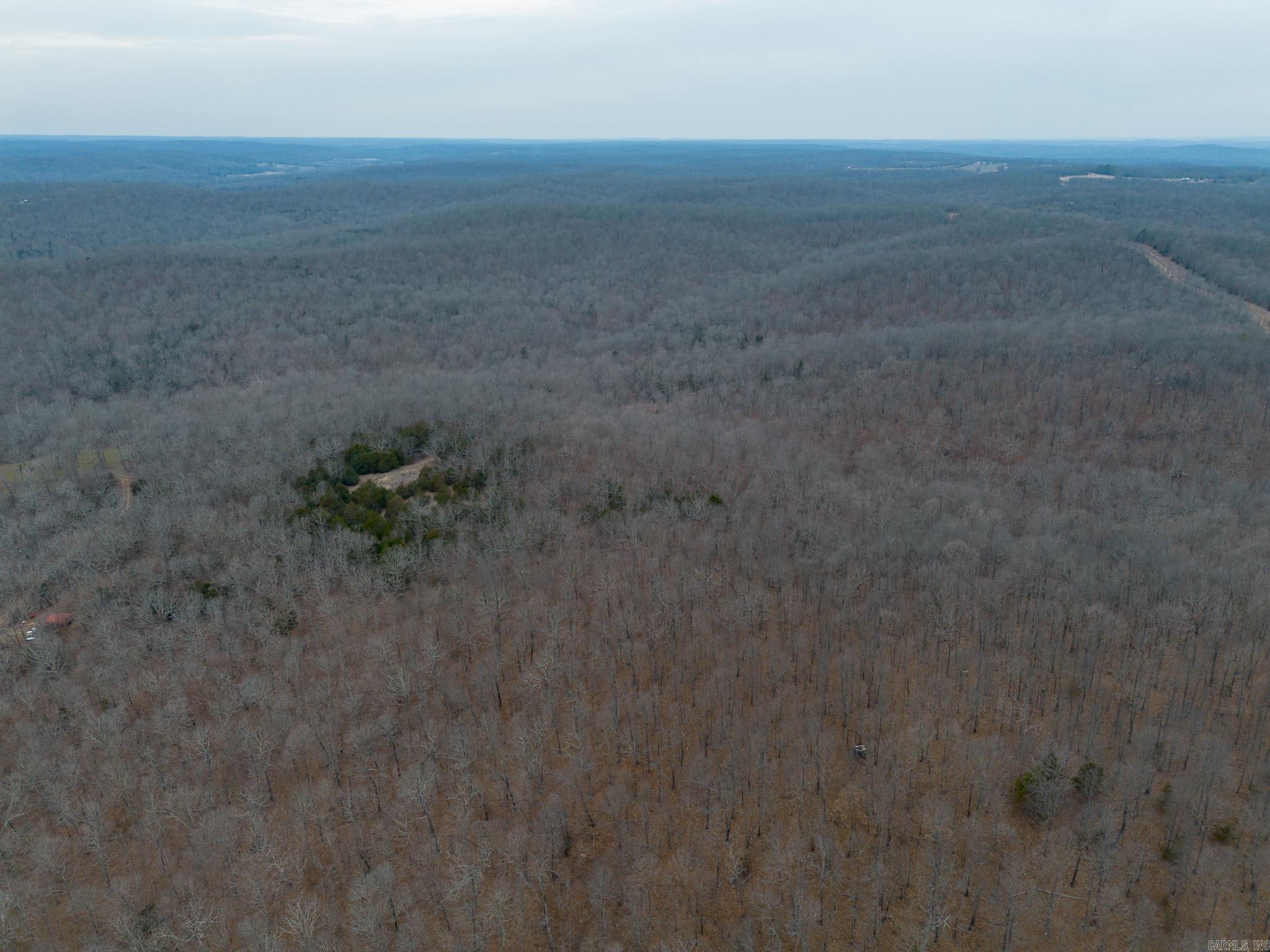 000 Nubbin Ridge  Ravenden Springs, AR