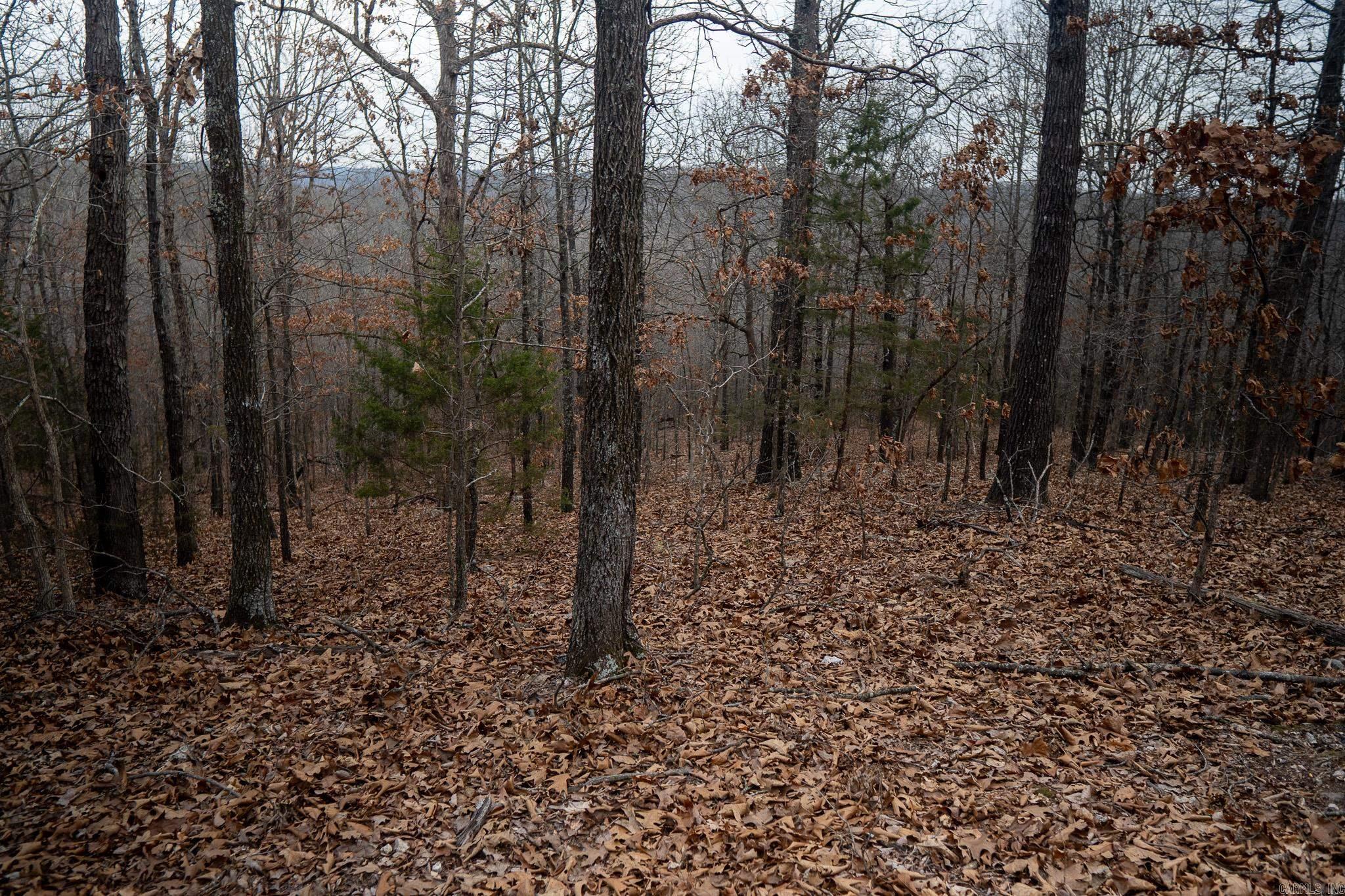 000 Nubbin Ridge  Ravenden Springs, AR