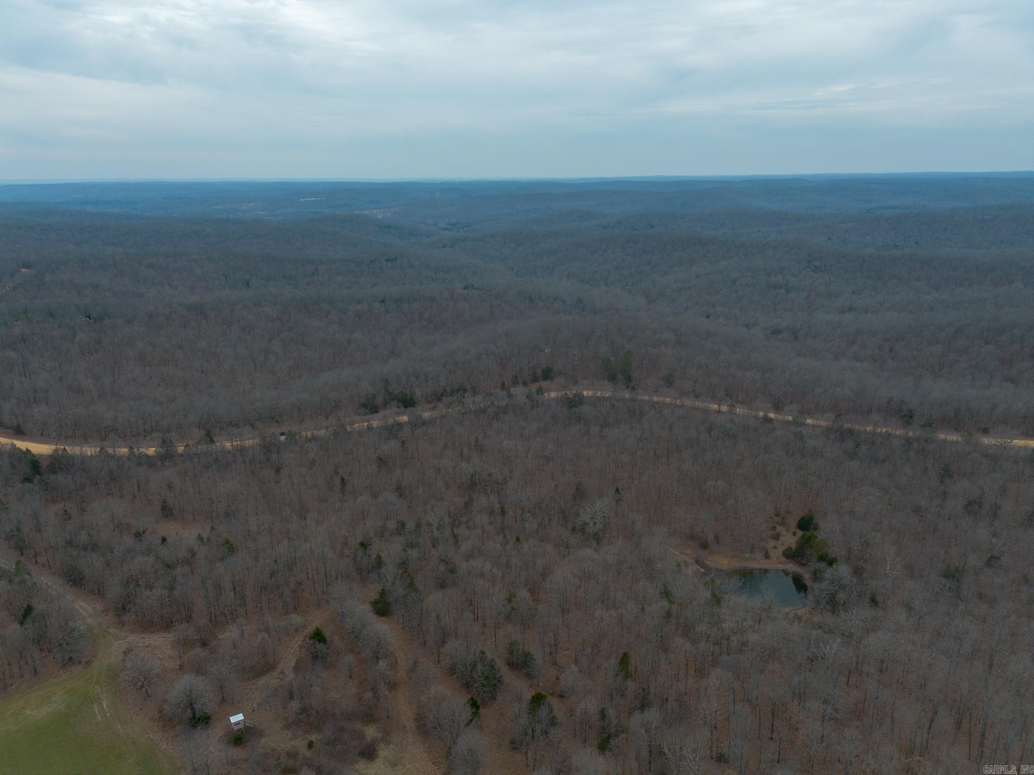 000 Nubbin Ridge  Ravenden Springs, AR